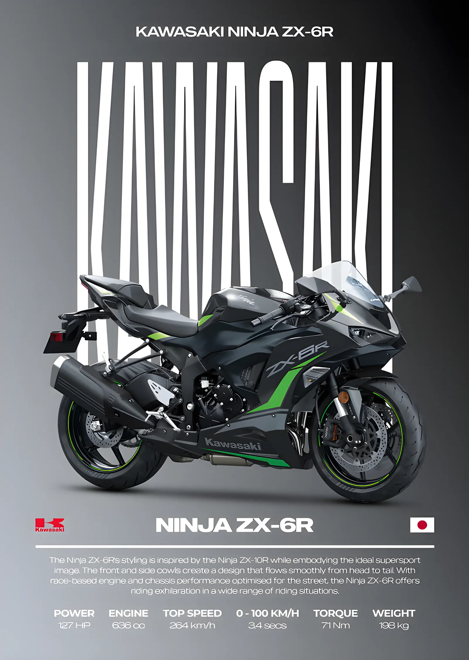 Kawasaki Ninja ZX-6R - Gri metal tablo