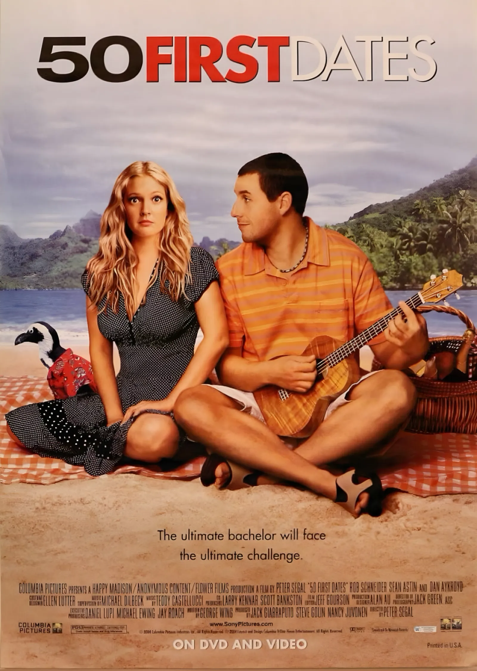 50 First Dates - Sahil metal tablo