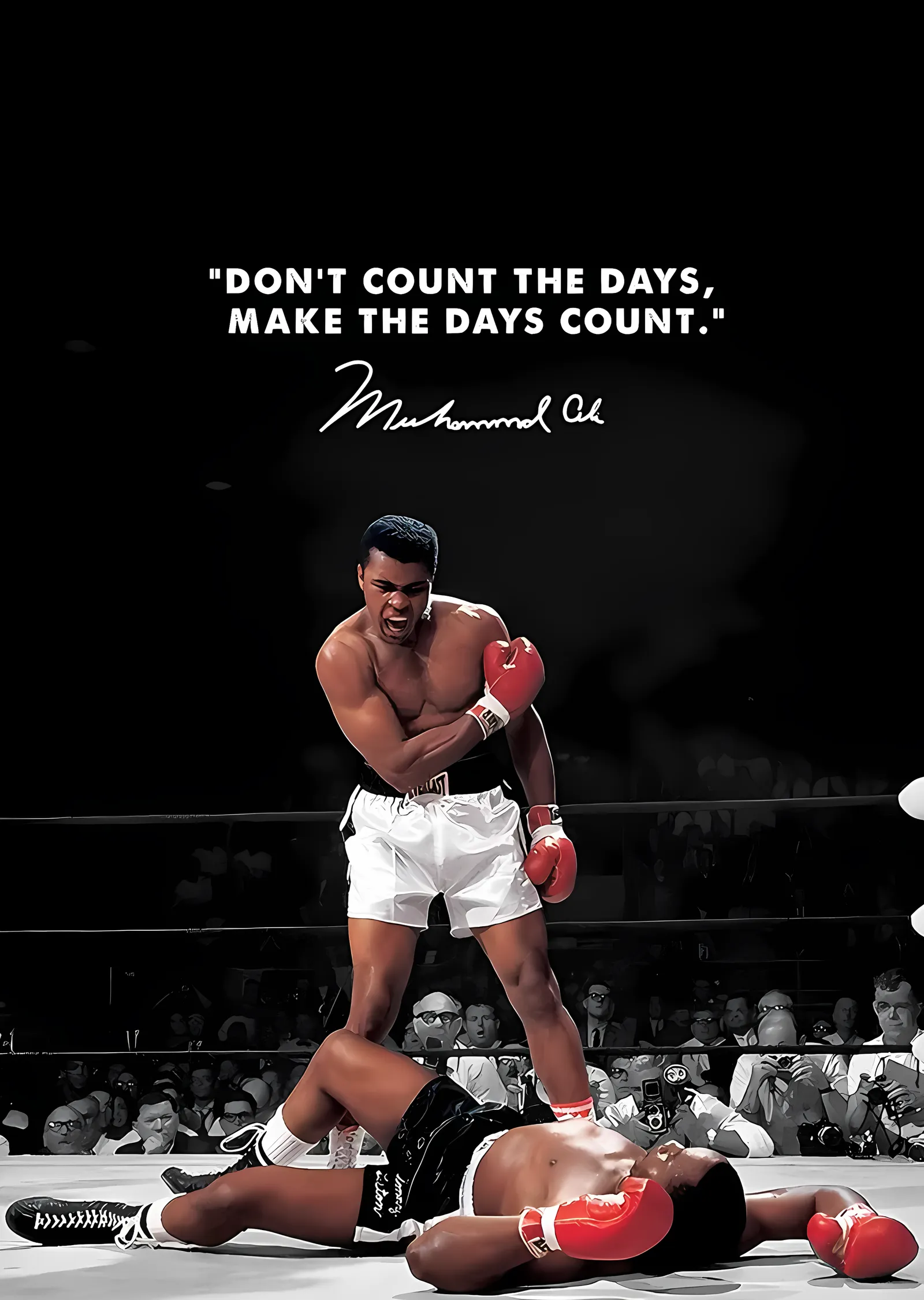 Muhammad Ali: Günleri Sayma metal tablo
