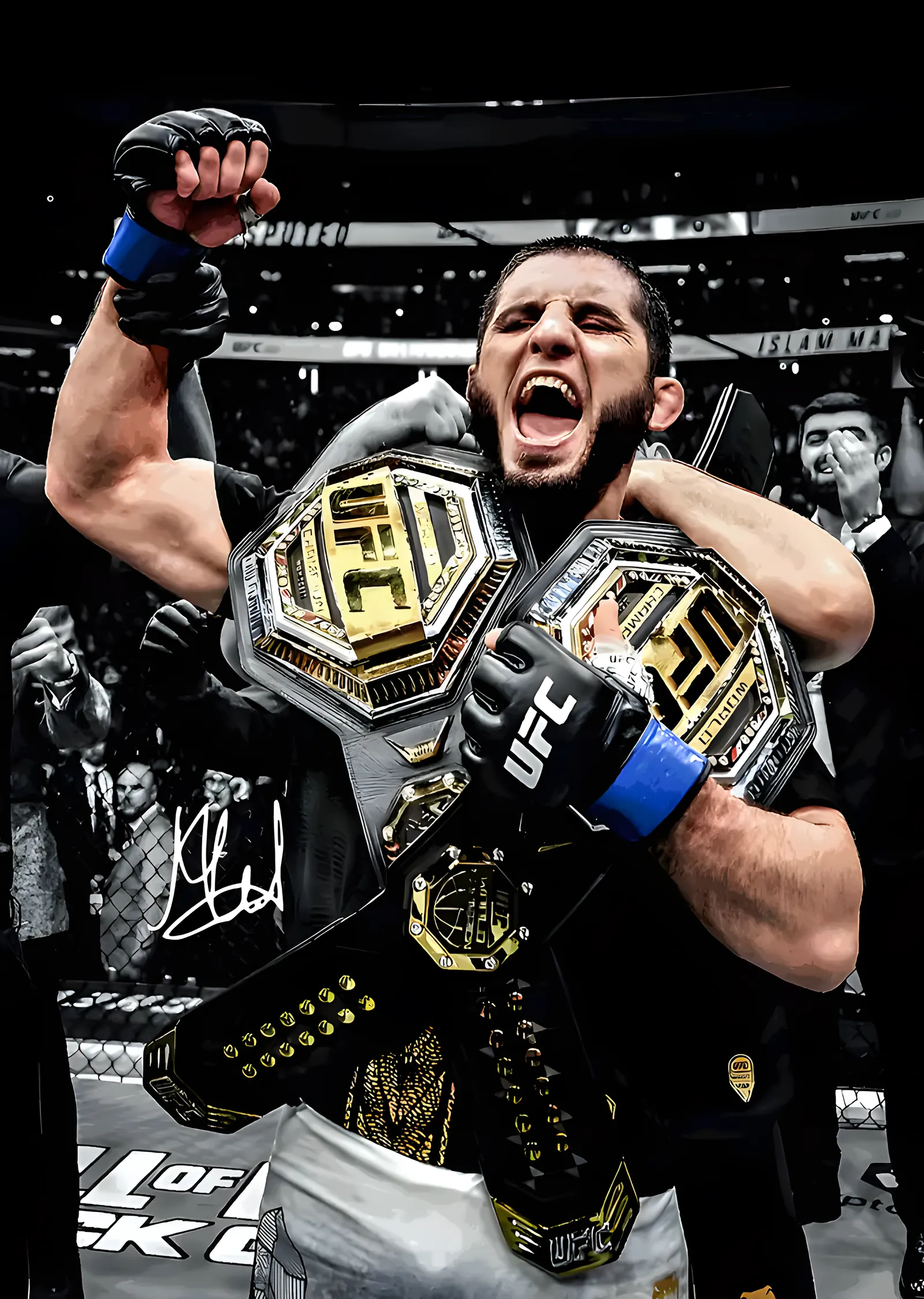 UFC: Çift Kemer metal tablo