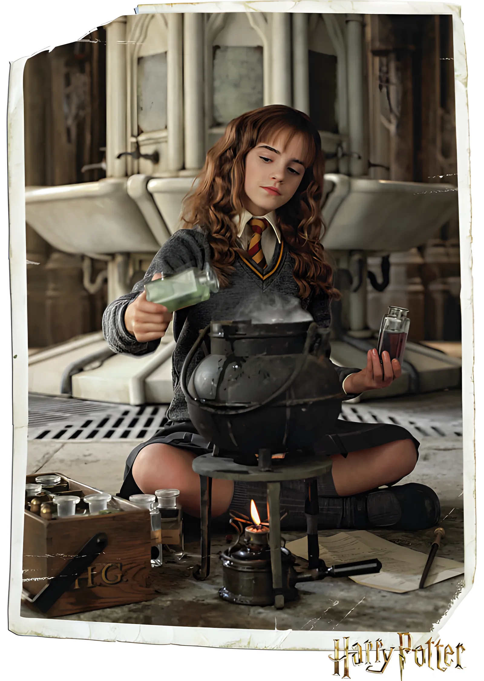 Harry Potter: Hermione Granger metal tablo