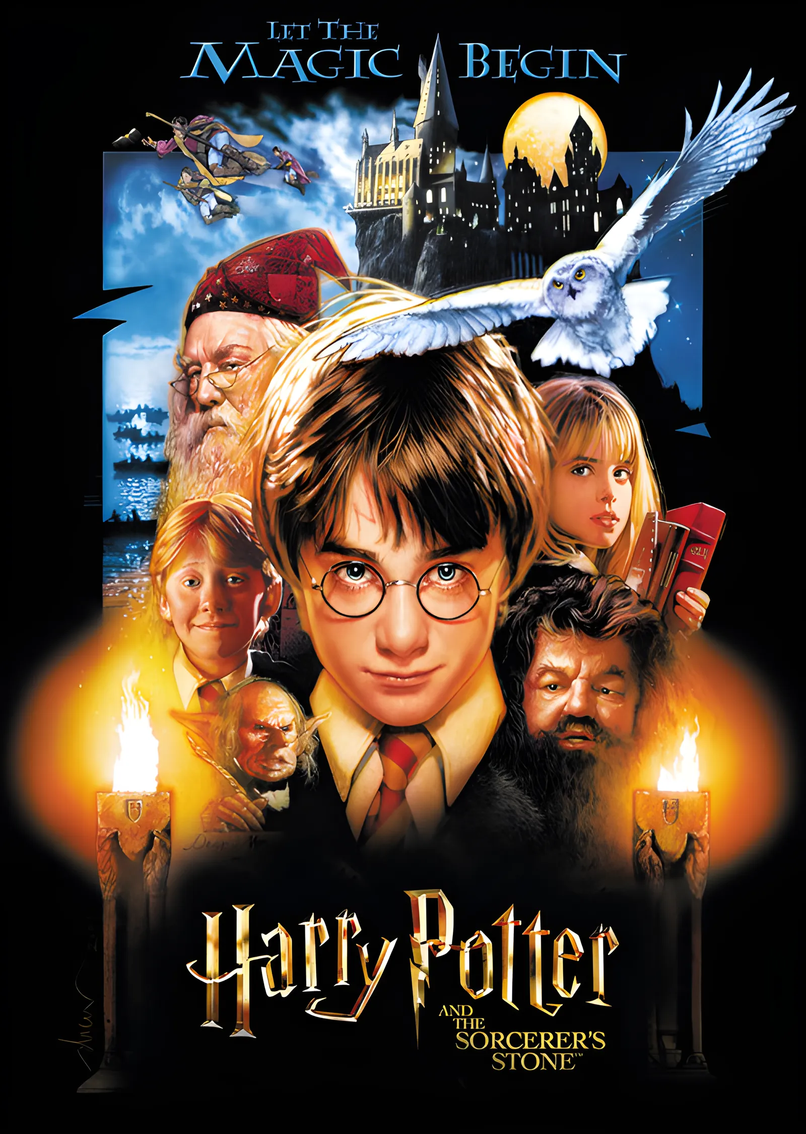 Harry Potter: Let the Magic Begin metal tablo