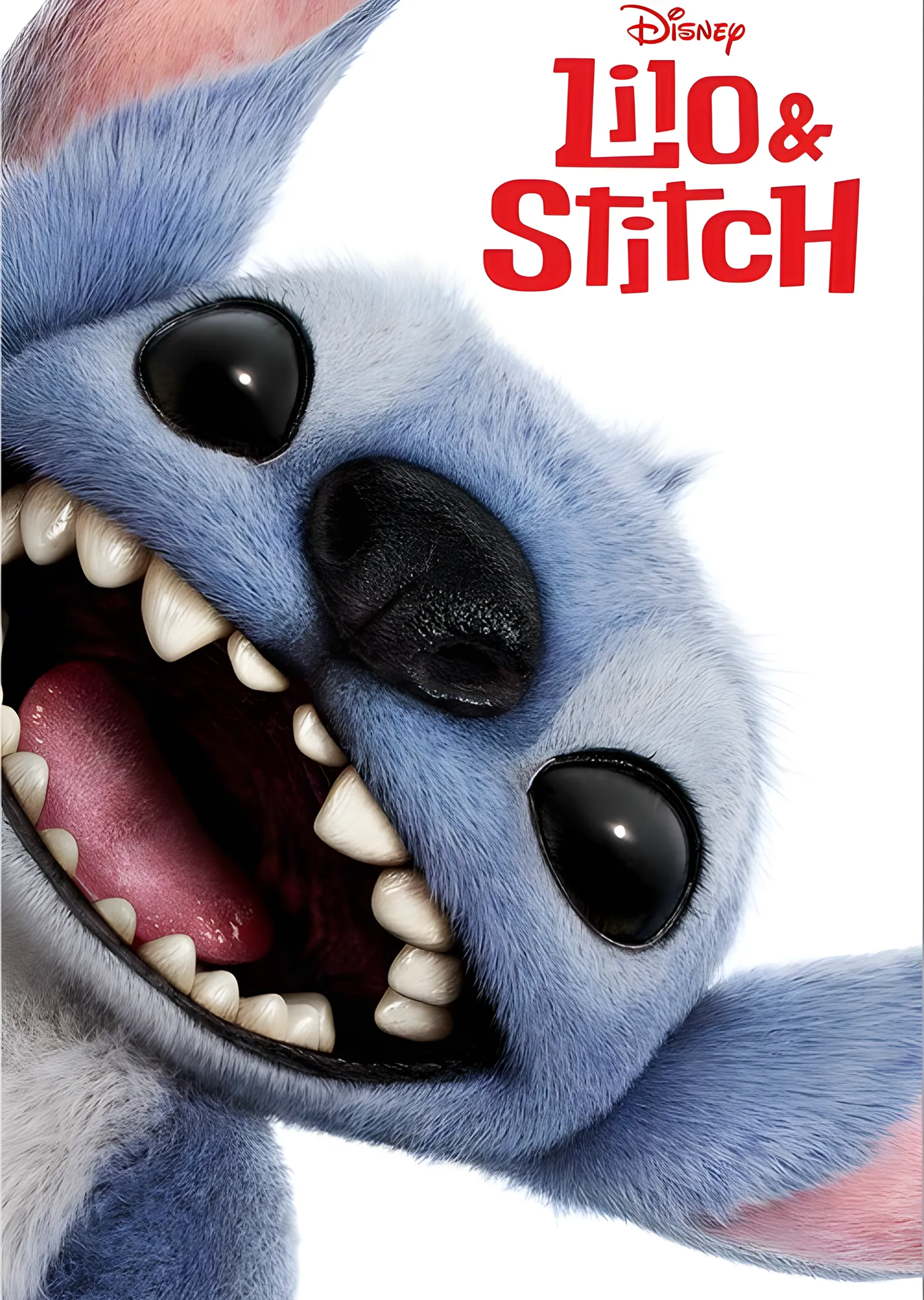 Lilo & Stitch: Stitch Yakın Plan metal tablo
