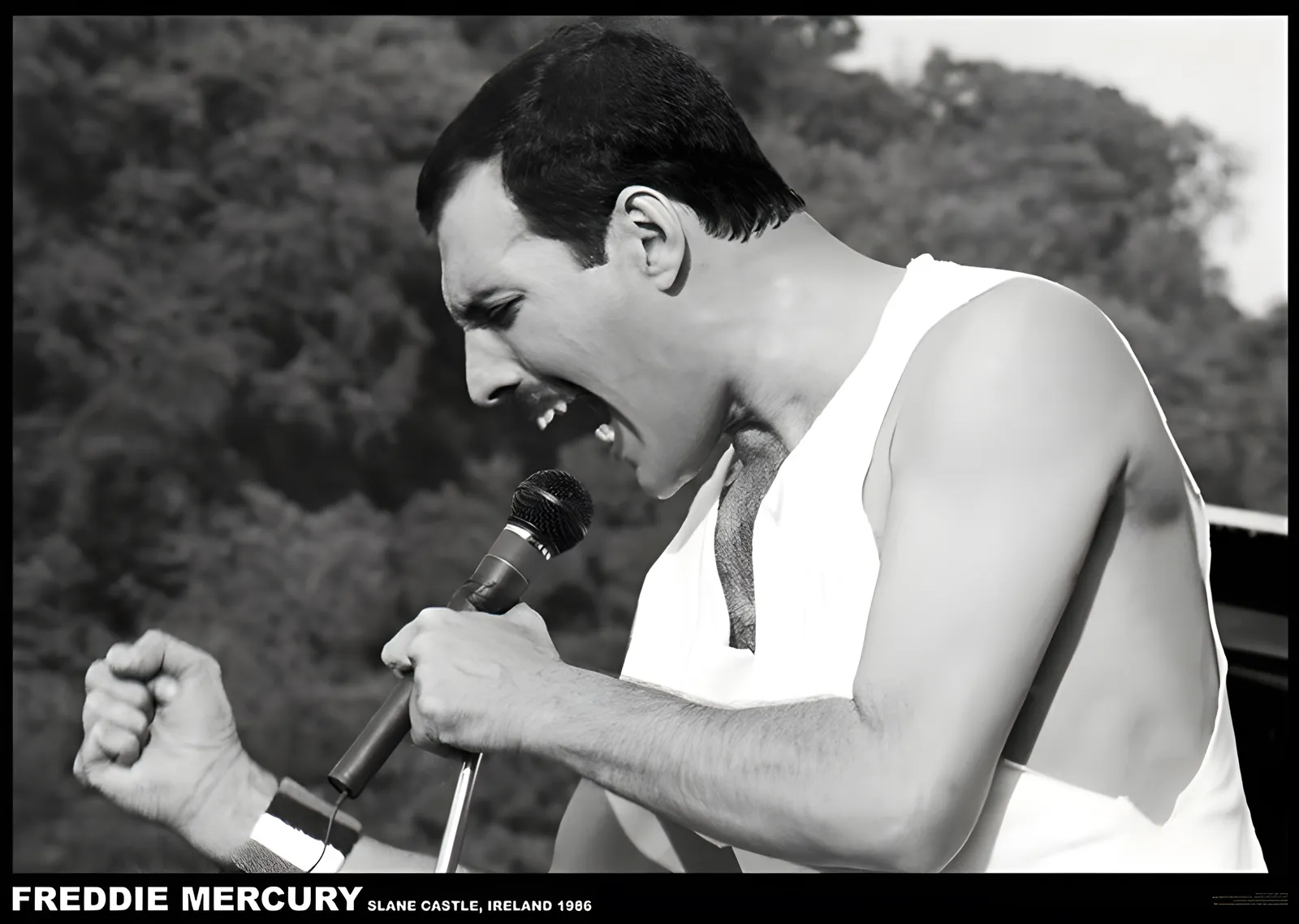 Freddie Mercury: Slane Castle 1986 metal tablo