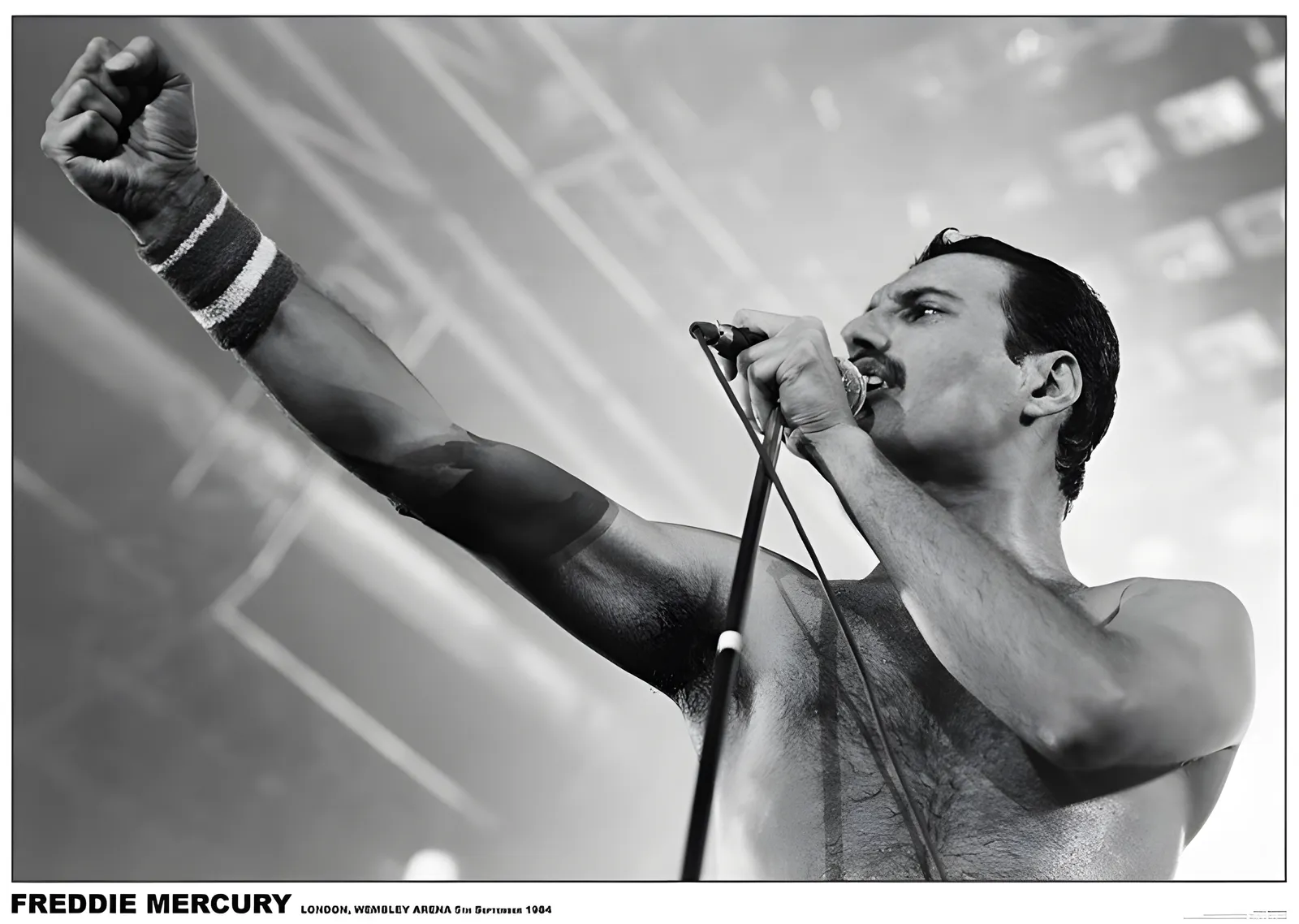 Freddie Mercury: Wembley 1986 metal tablo