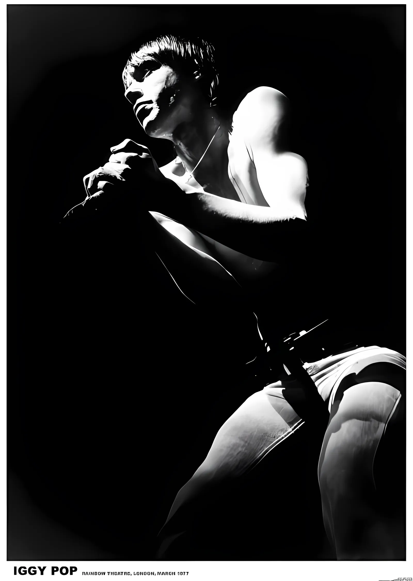 Iggy Pop: Londra 1977 metal tablo