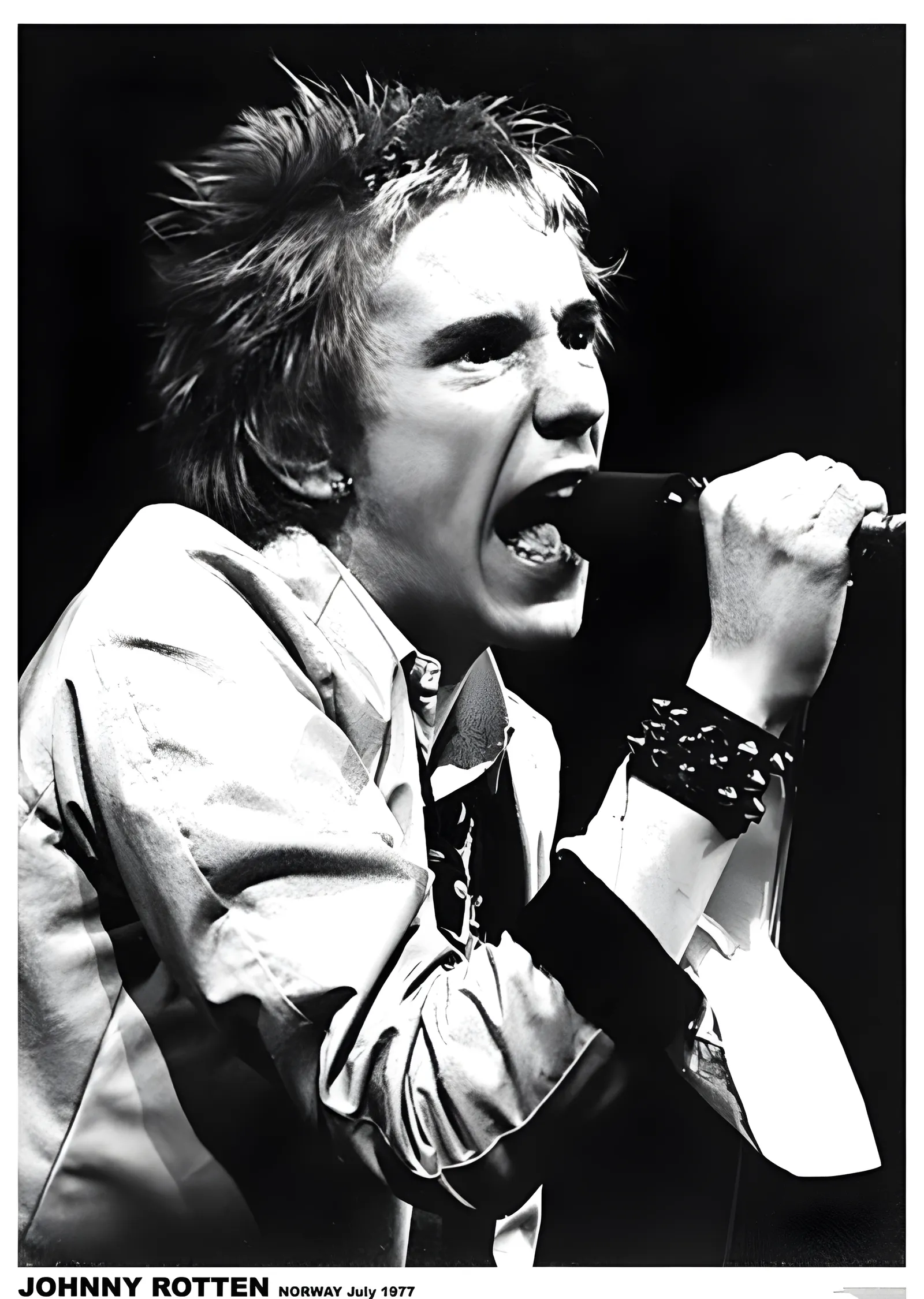 Johnny Rotten: Norveç 1977 metal tablo