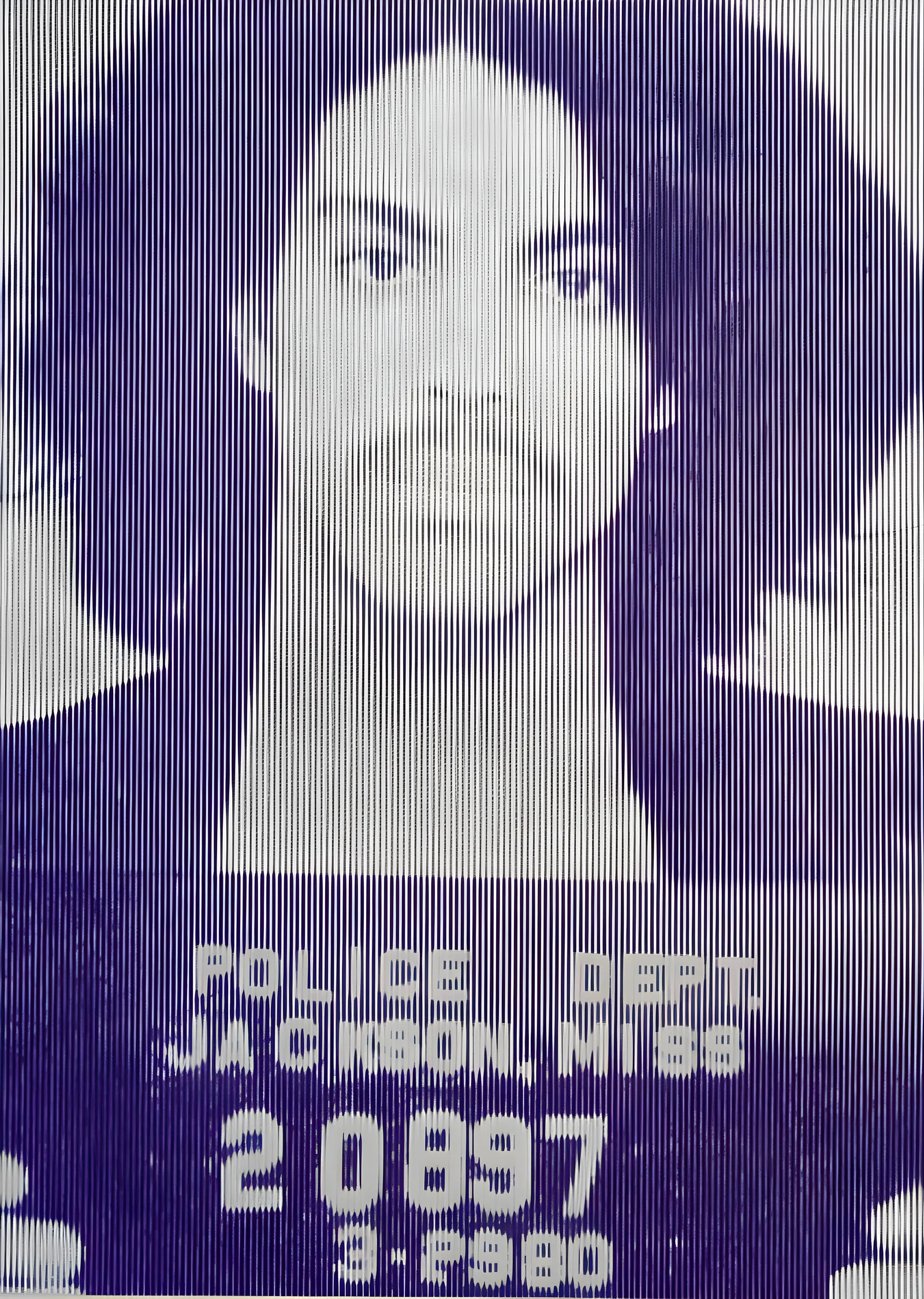 Prince: Mor Portre metal tablo