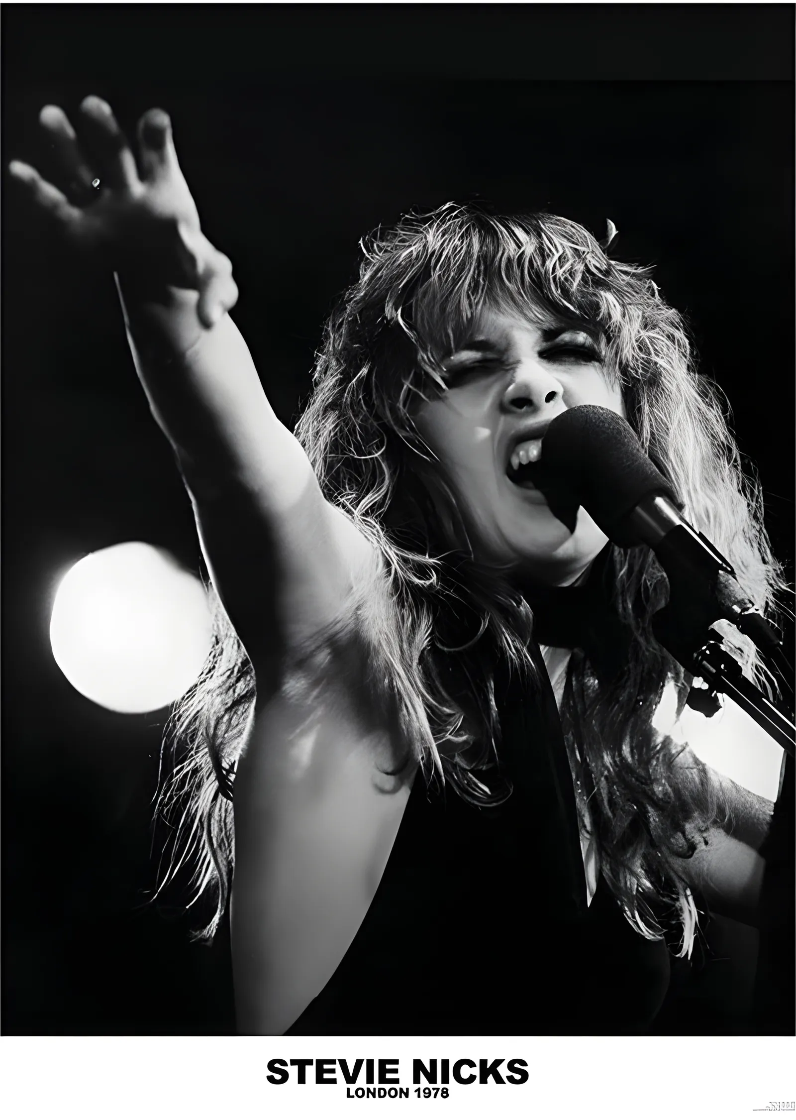 Stevie Nicks: Londra 1978 metal tablo