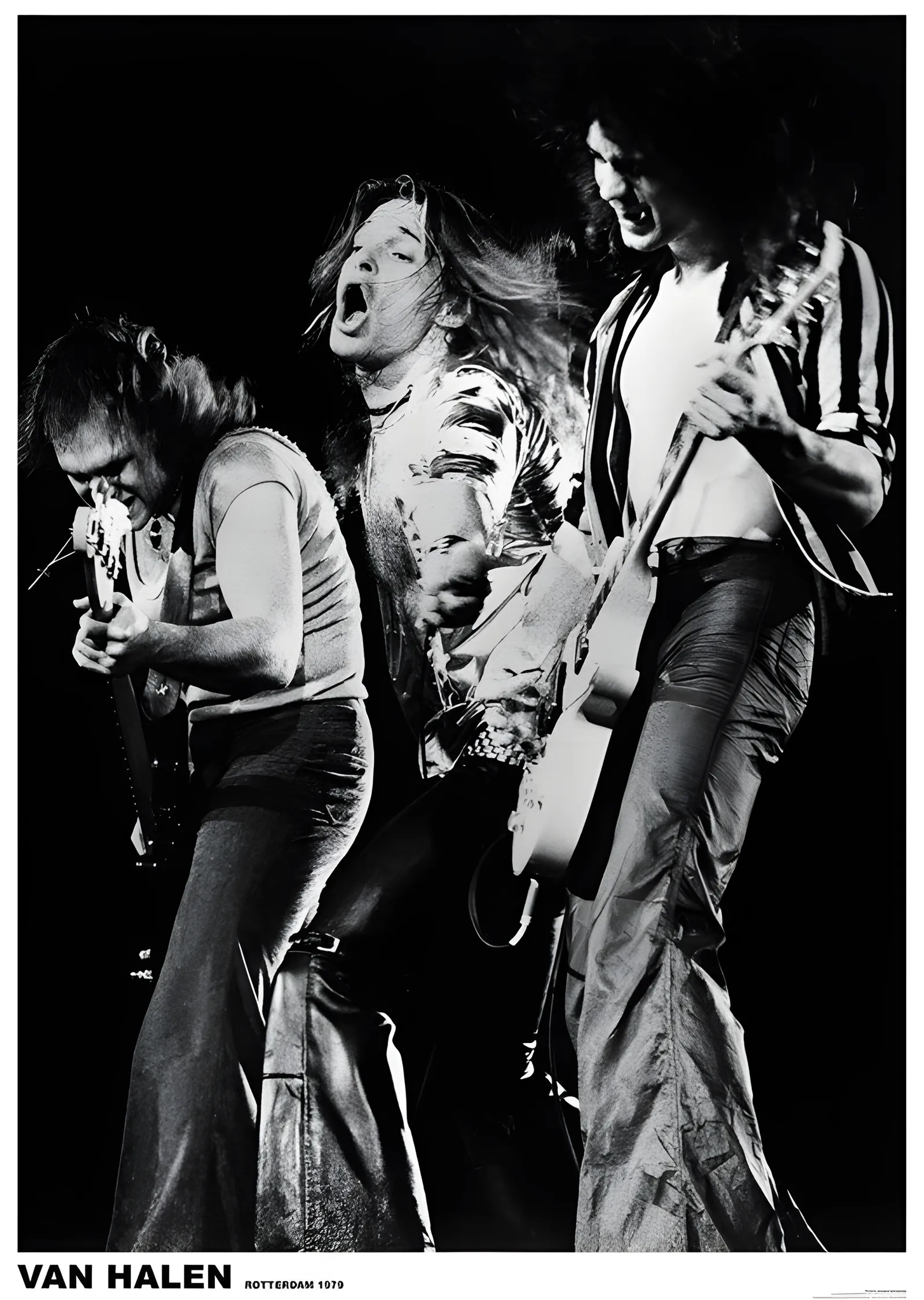 Van Halen: Rotterdam 1978 metal tablo