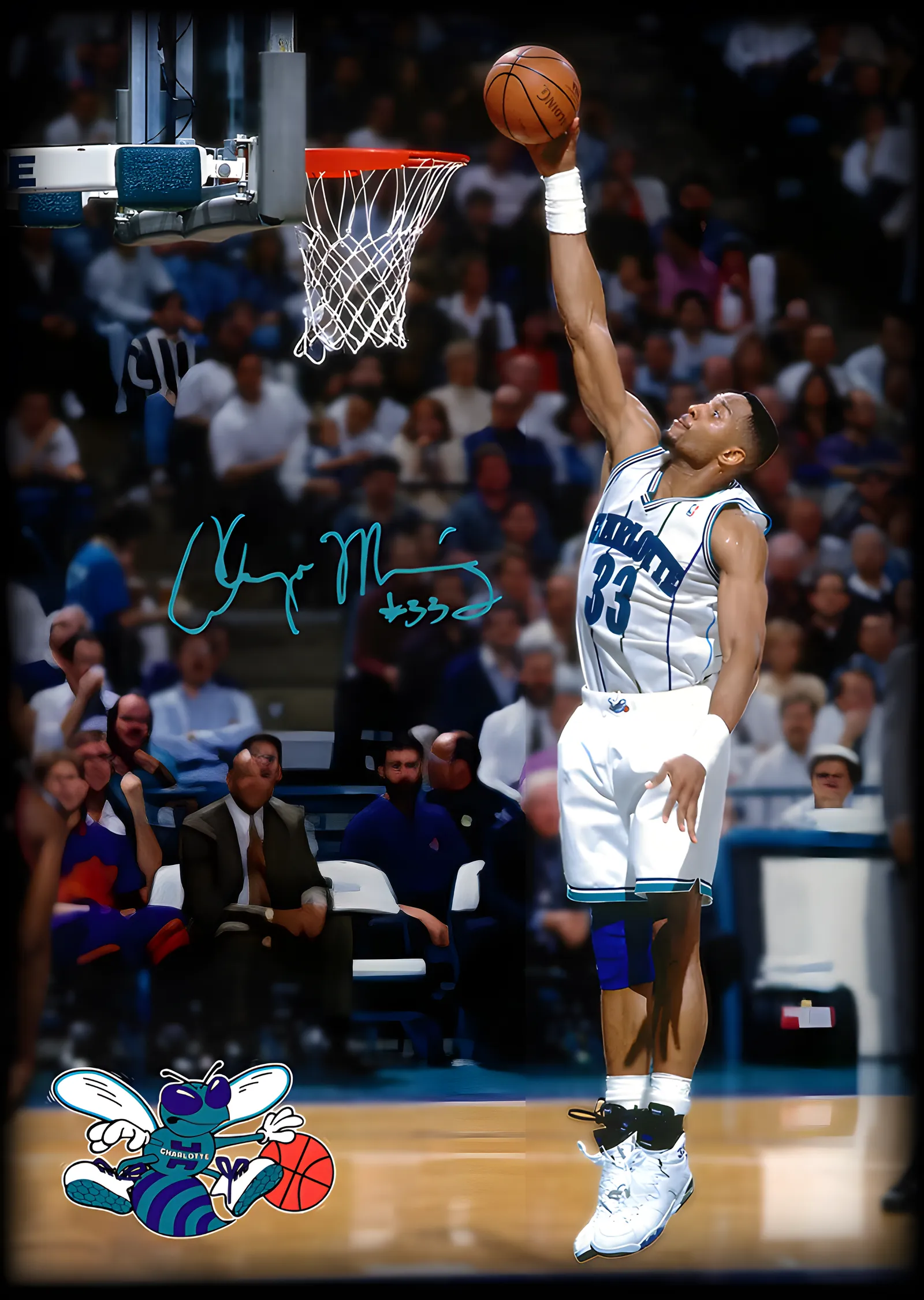 Alonzo Mourning - Charlotte Hornets metal tablo