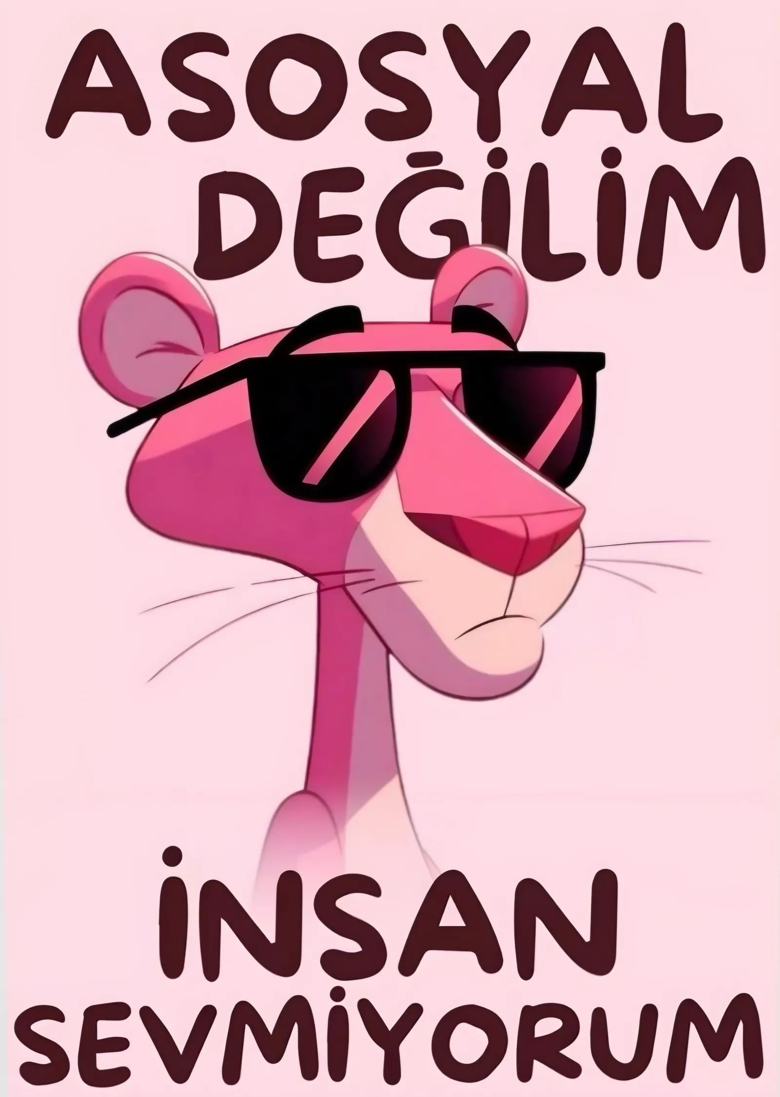 Asosyal Değilim İnsan Sevmiyorum metal tablo