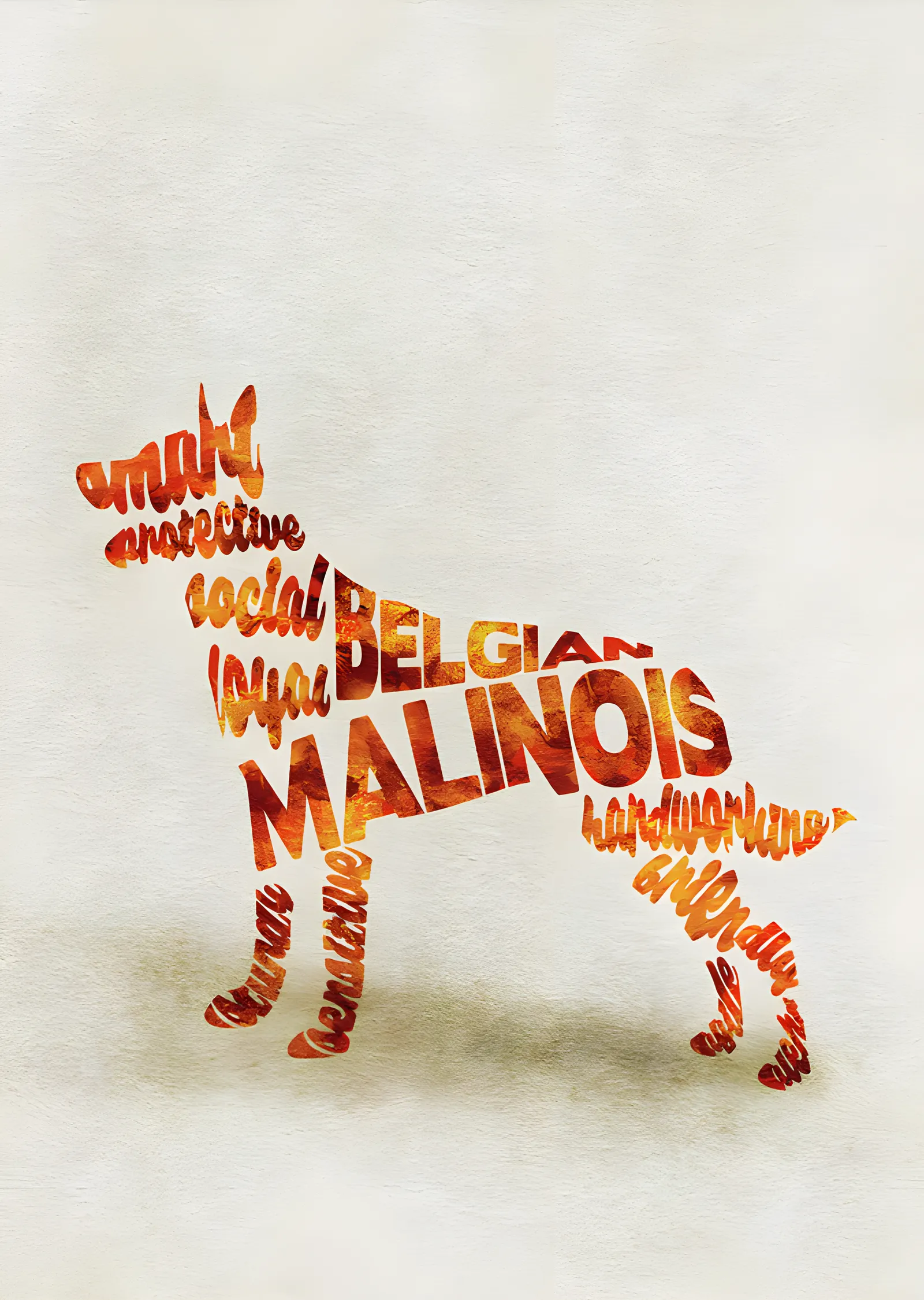 Belgian Malinois - Tipografi metal tablo