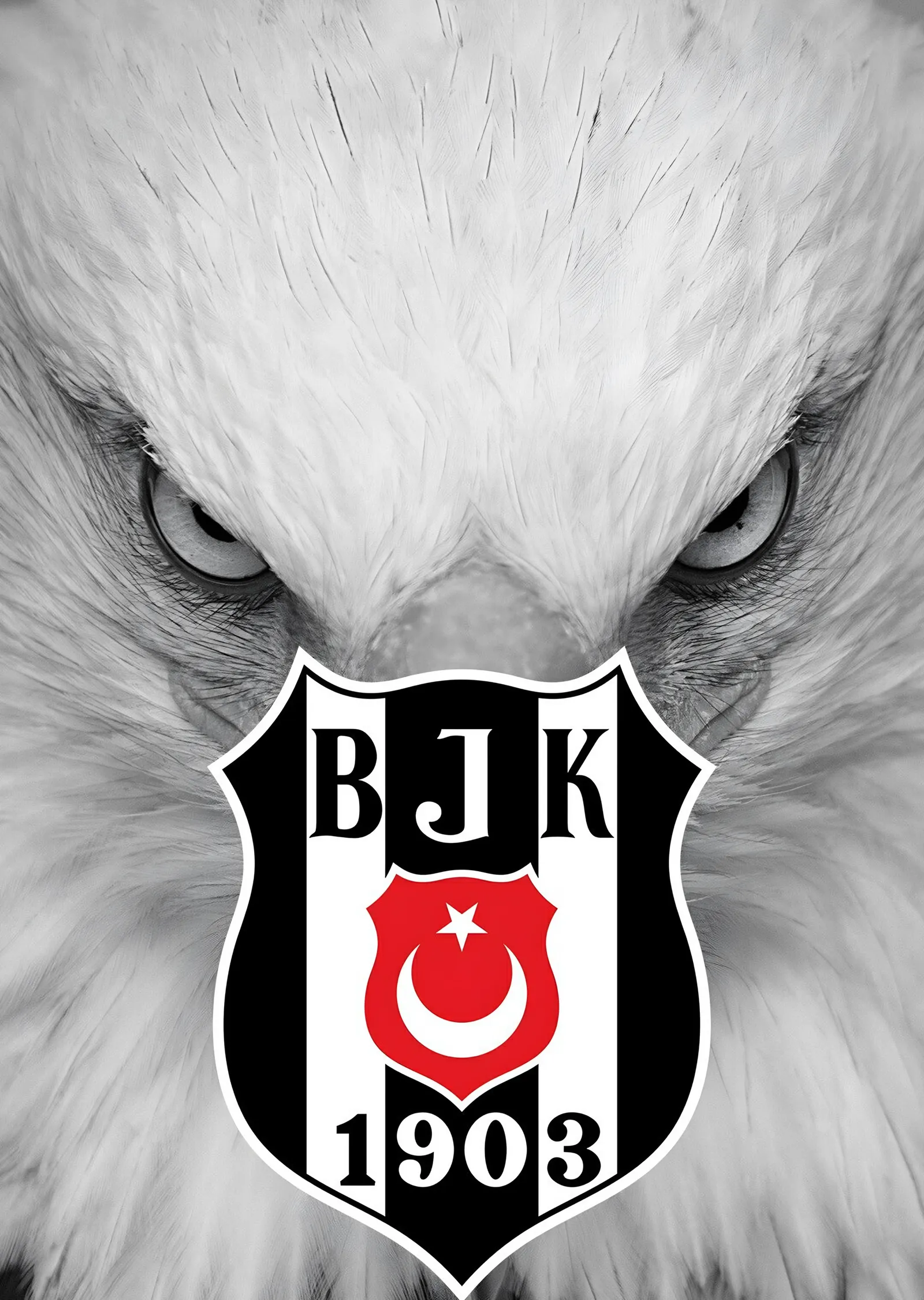Beşiktaş: Beyaz Kartalın Gözleri metal tablo