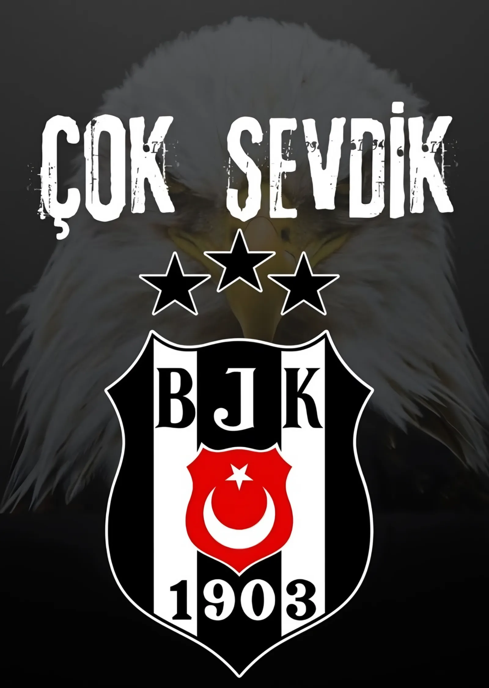 Beşiktaş: Kartal Tüylerinde Çok Sevdik metal tablo