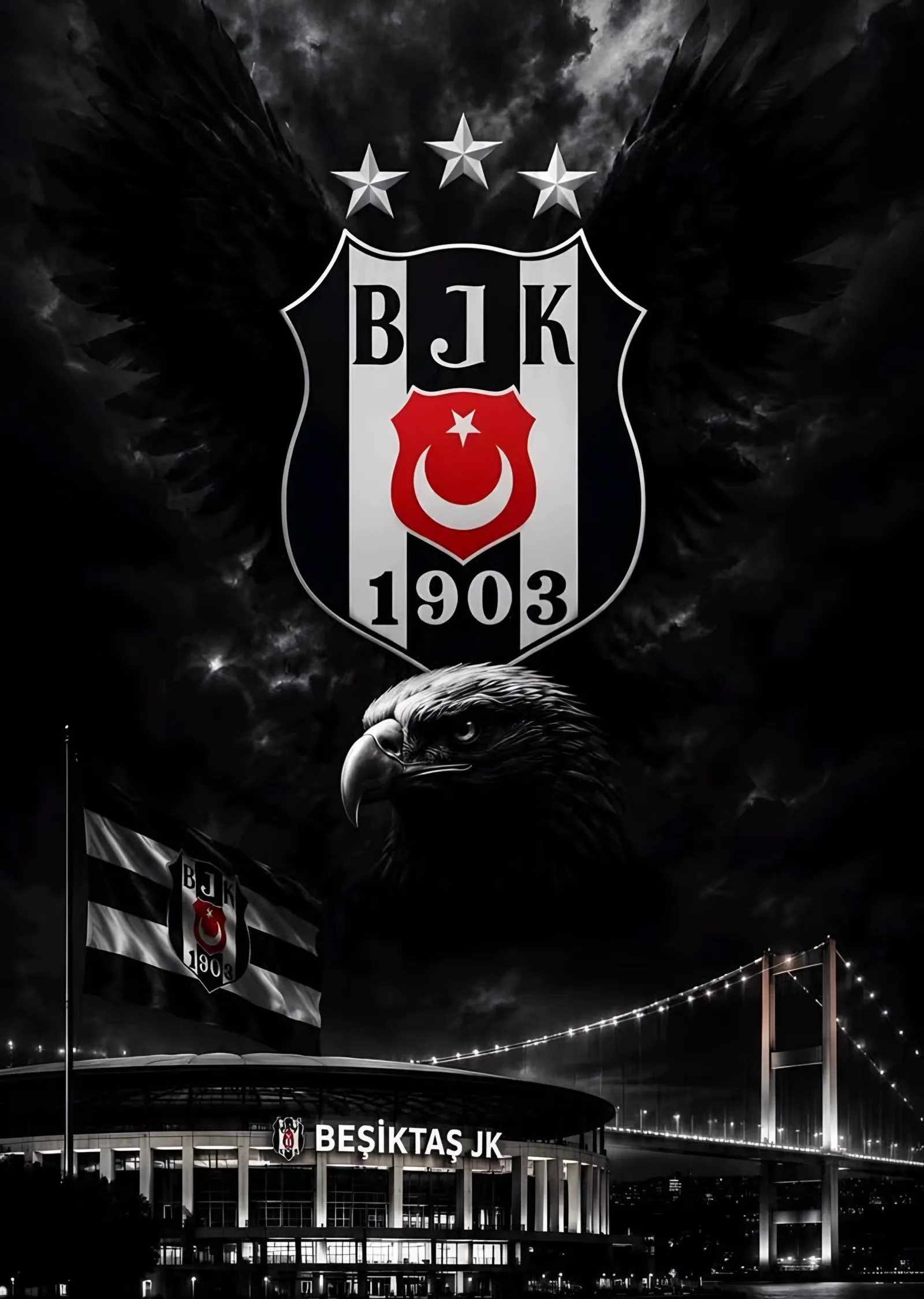 Beşiktaş: Kartal ve Boğaz Köprüsü metal tablo