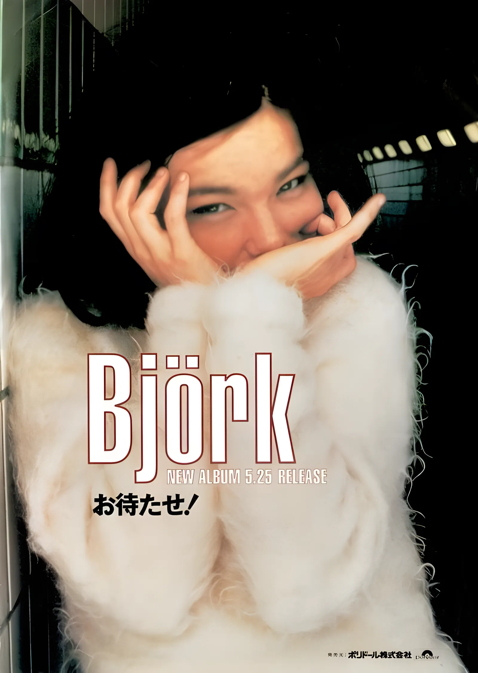 Björk: Beyaz Kürk Kadrajı metal tablo