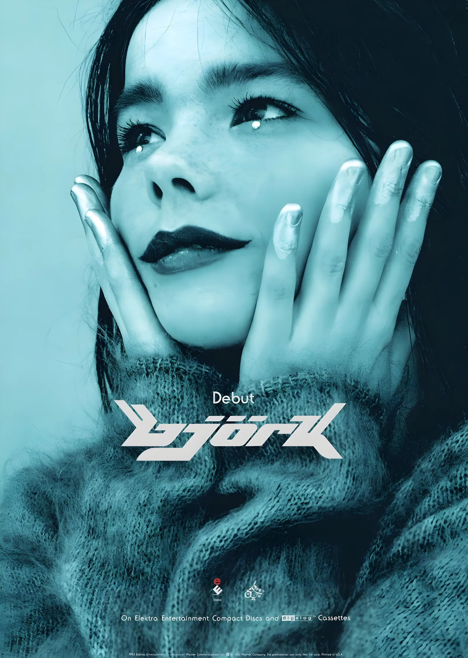Björk: Debut Turkuaz Baskı metal tablo
