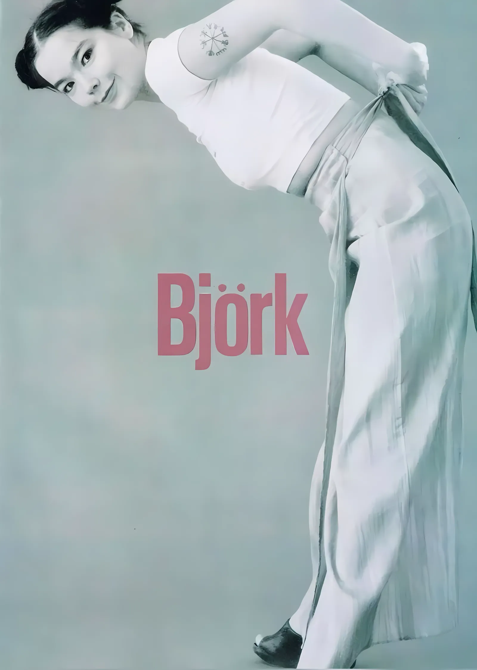 Björk: Minimal Beyaz Kadraj metal tablo