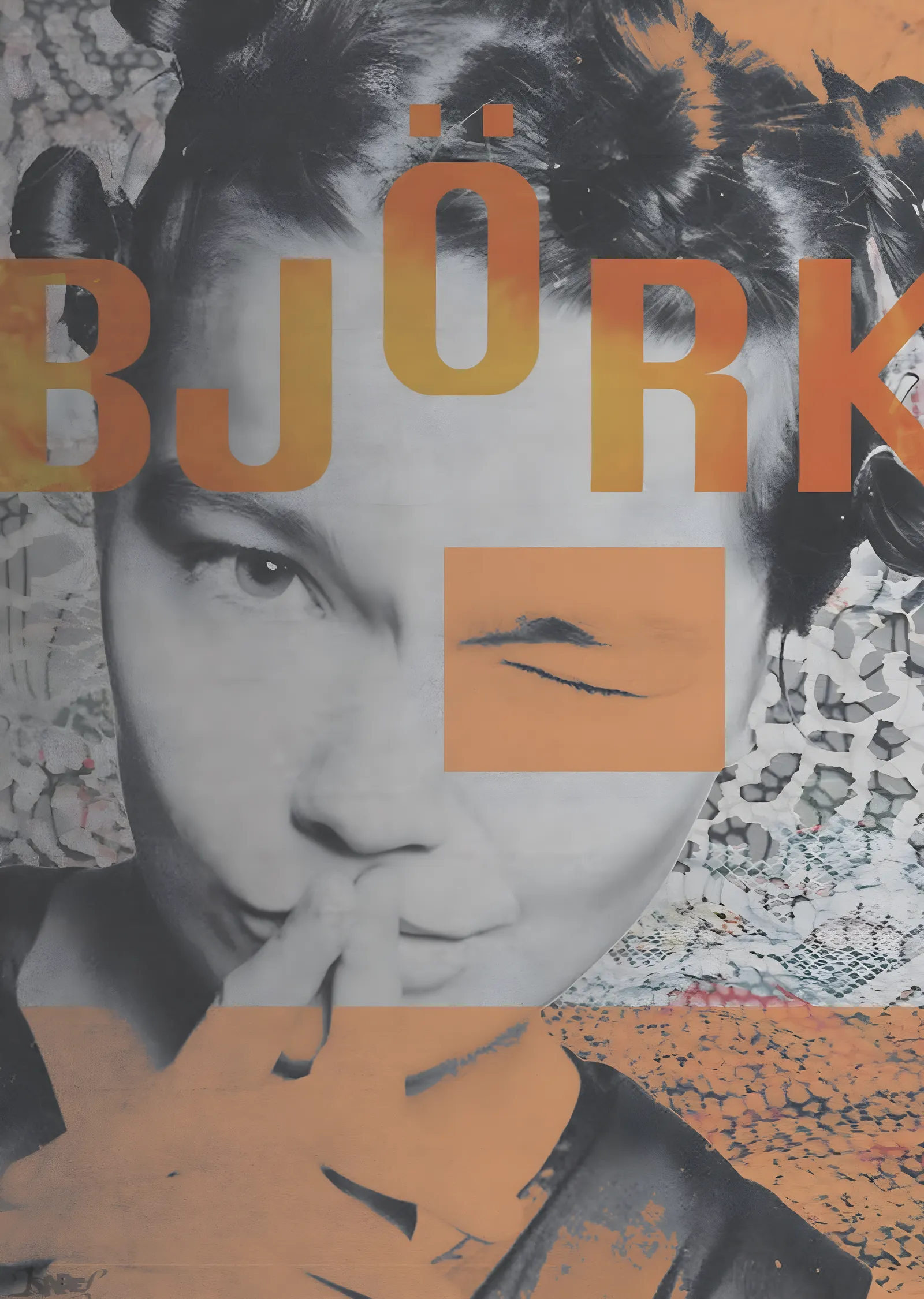 Björk: Yarım Ton Baskı metal tablo