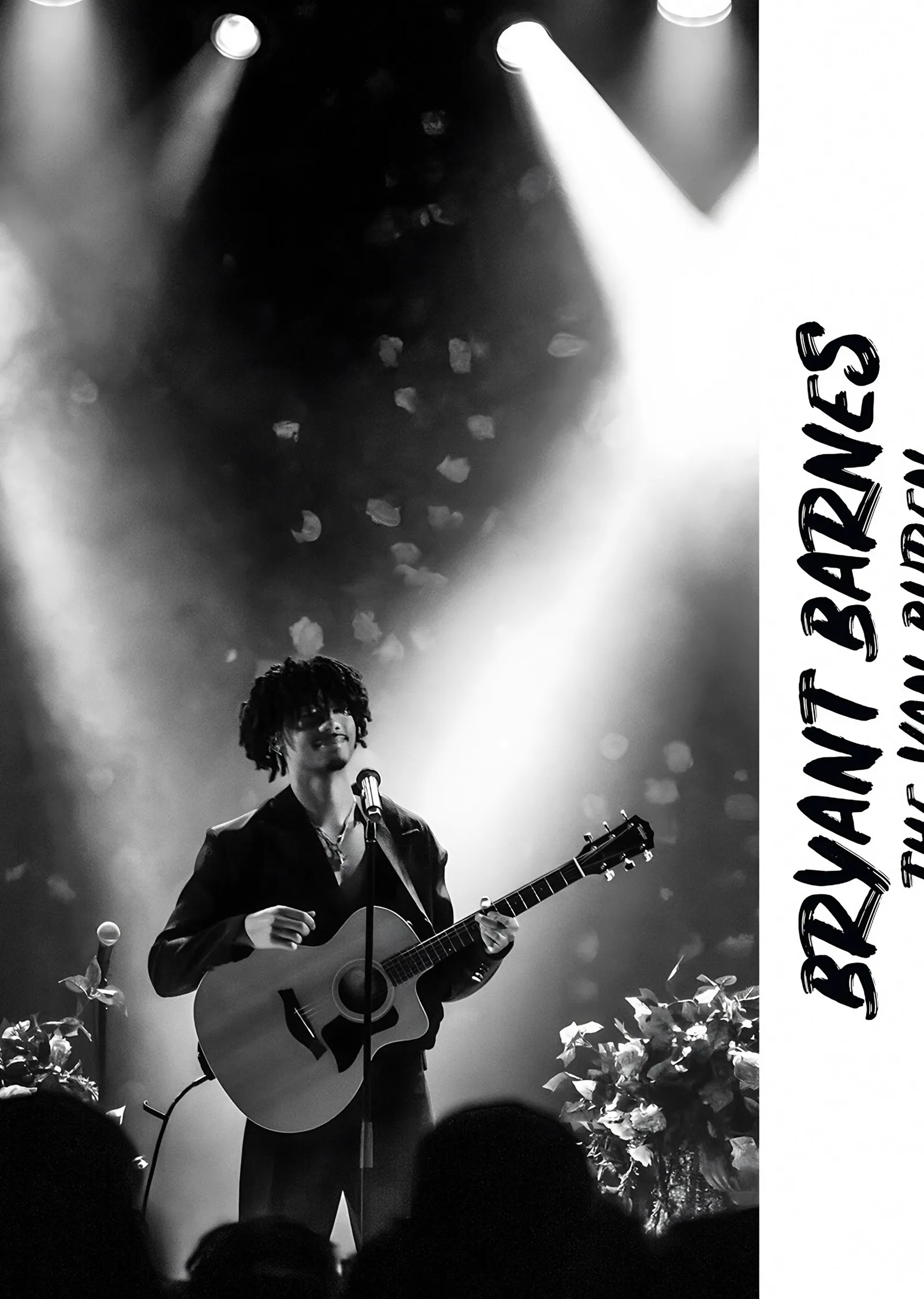 Bryant Barnes - Akustik Gitar metal tablo