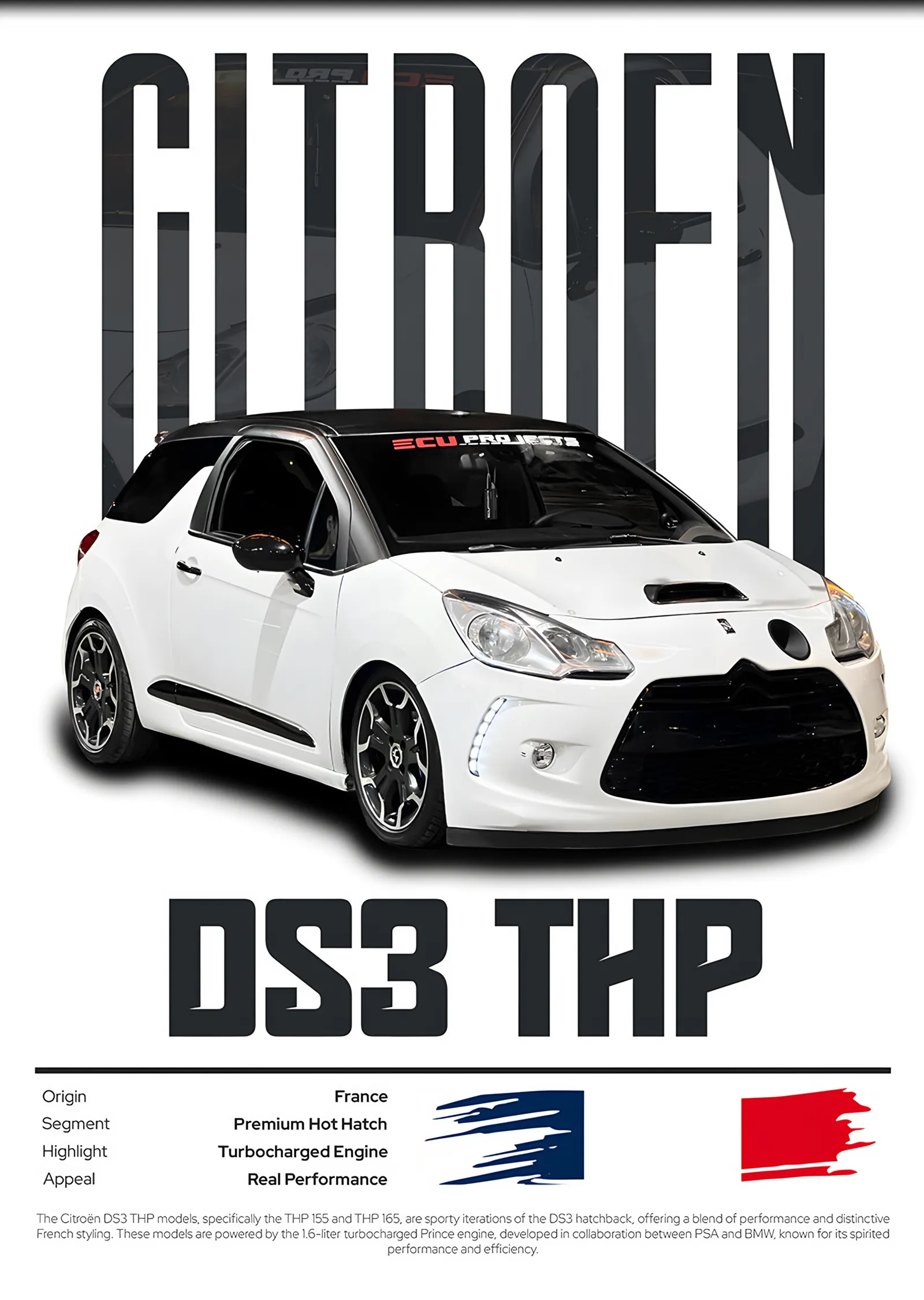 Citroen DS3 THP Künye metal tablo