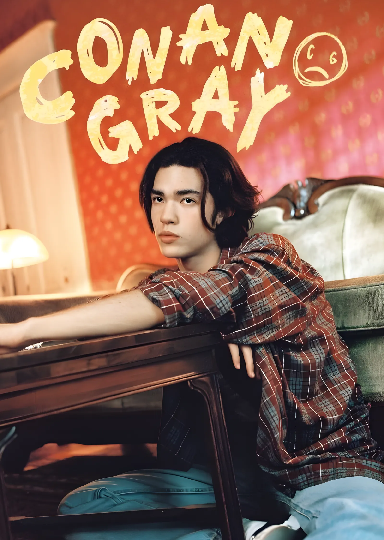 Conan Gray: Ekose Gömlekli Oda metal tablo