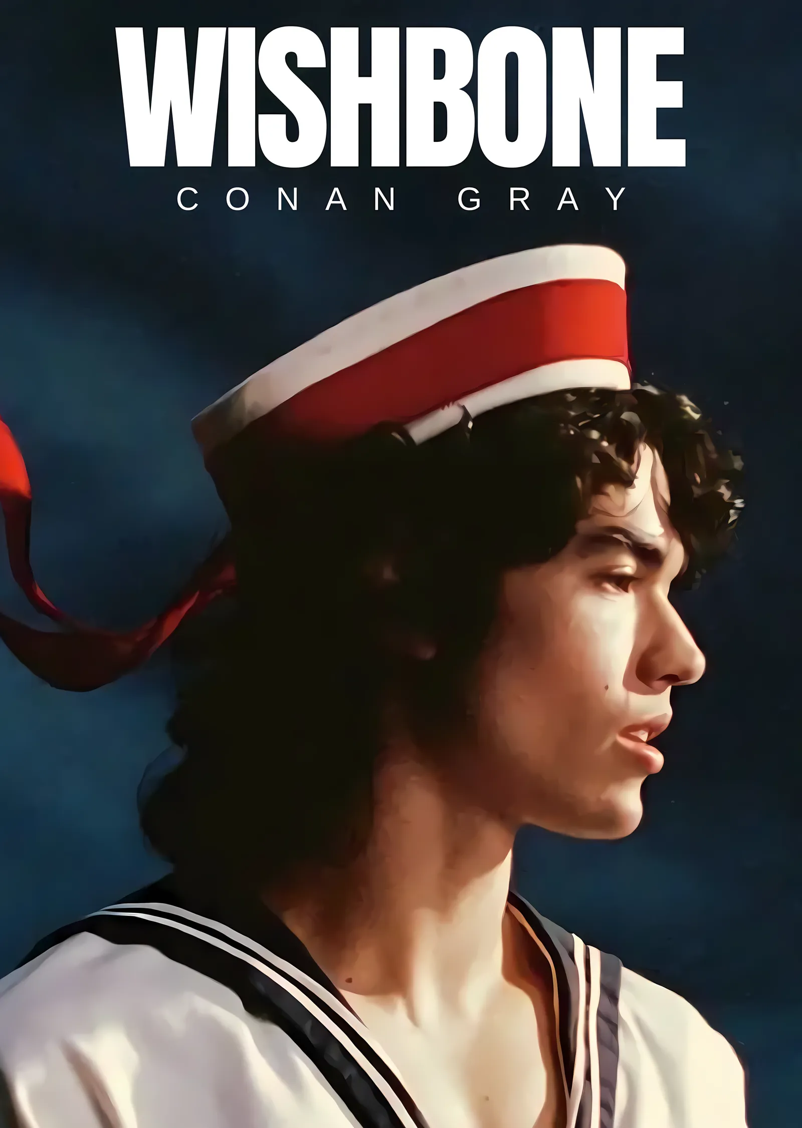 Conan Gray: Wishbone metal tablo