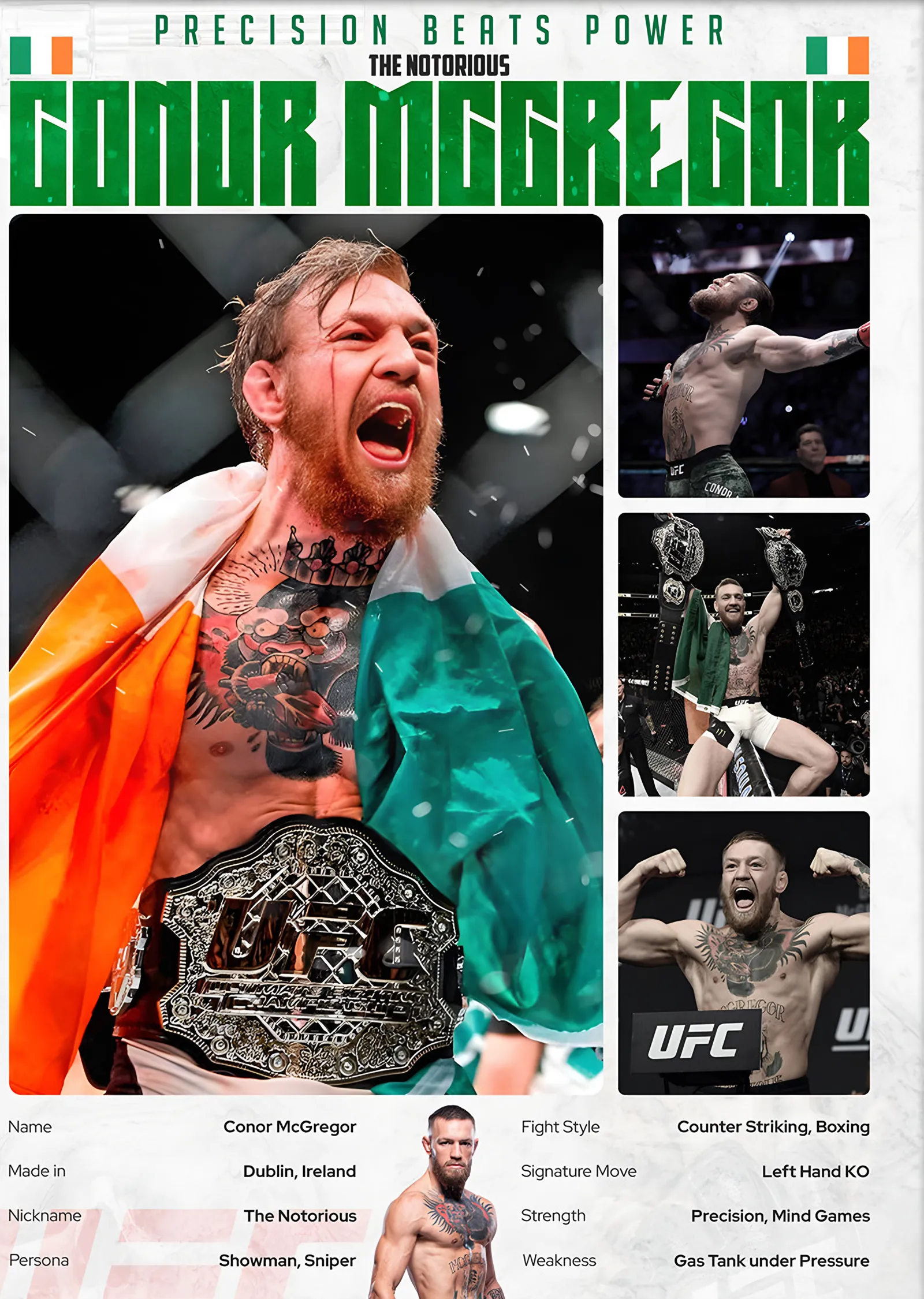 Conor McGregor The Notorious metal tablo