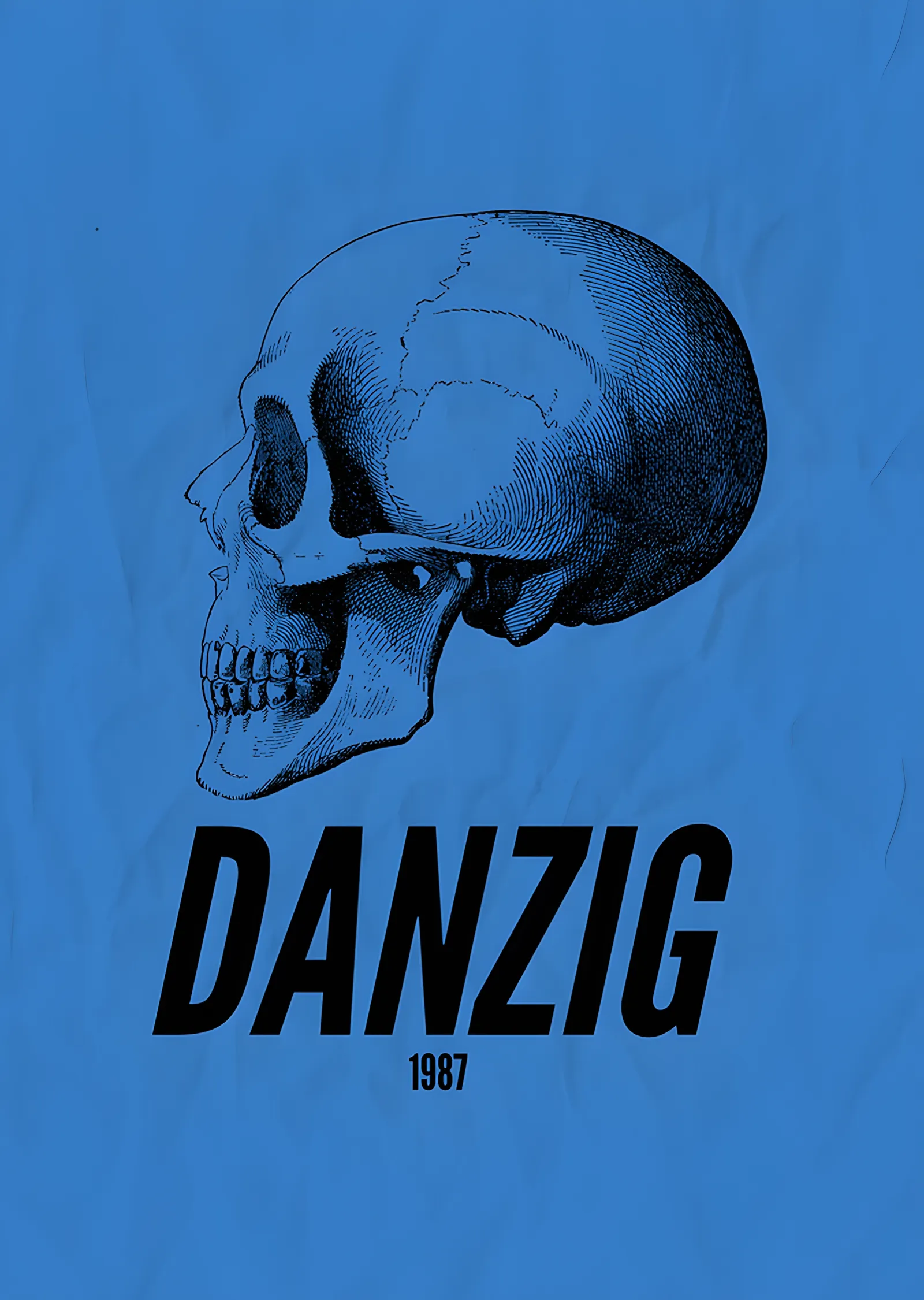 Danzig 1987: Mavi Zeminde Kafatası Çizimi metal tablo