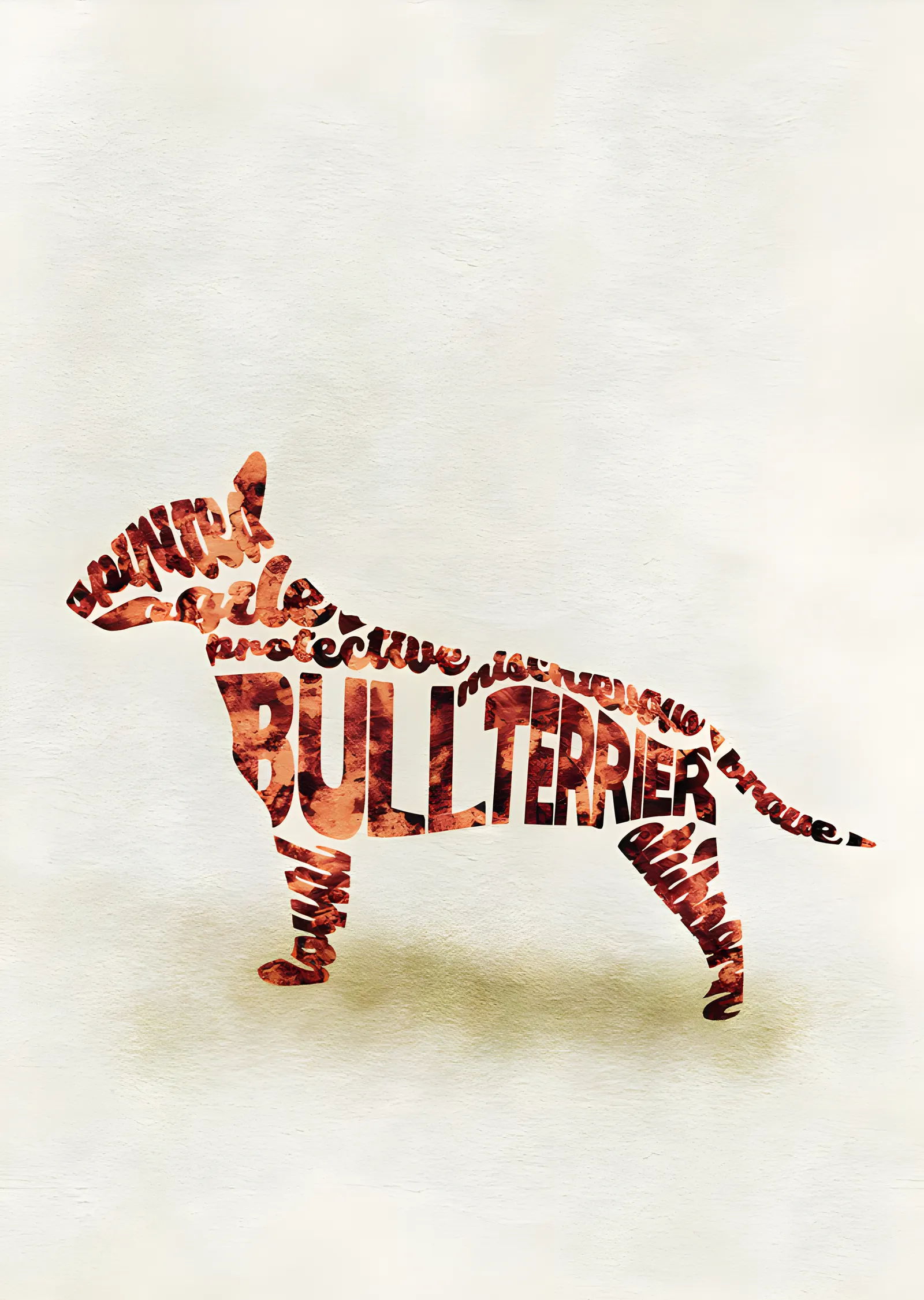 Bull Terrier - Tipografi metal tablo