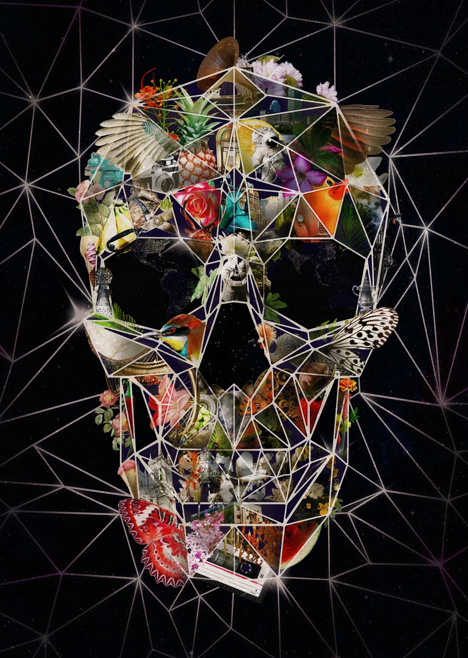 Fragile Skull metal tablo