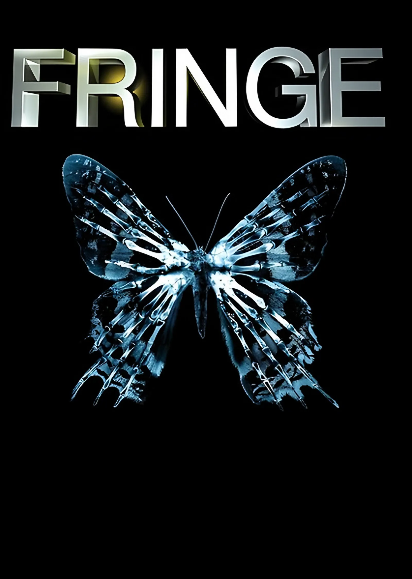 Fringe - Kristal Kelebek metal tablo