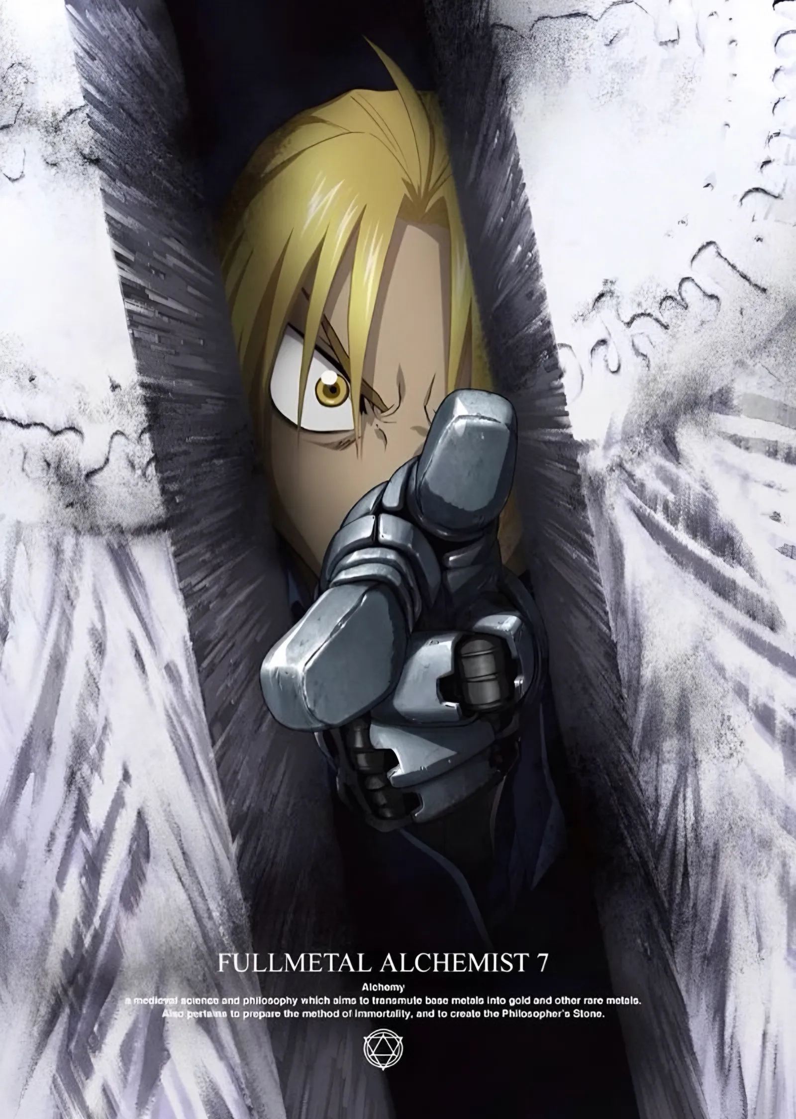 Fullmetal Alchemist: Kürk Yakadan Bakış metal tablo