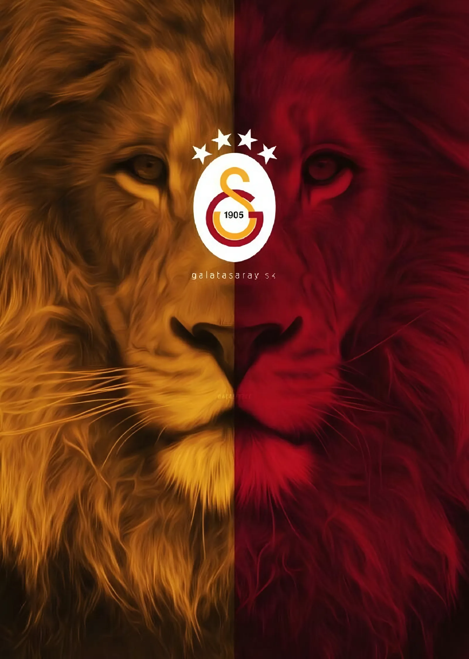 Galatasaray: Sarı Kırmızı Bölünmüş Aslan metal tablo