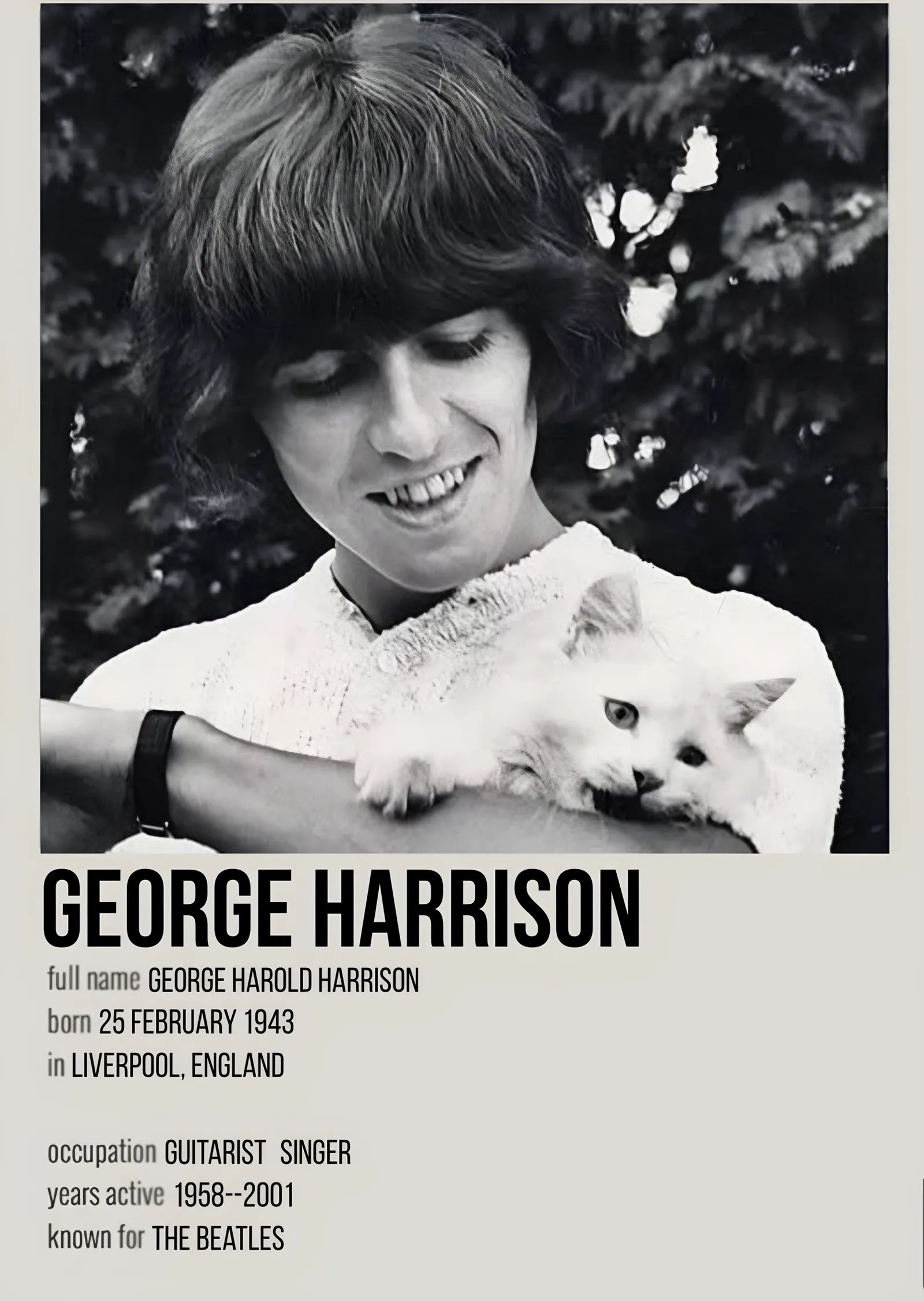George Harrison - Künye Afişi metal tablo