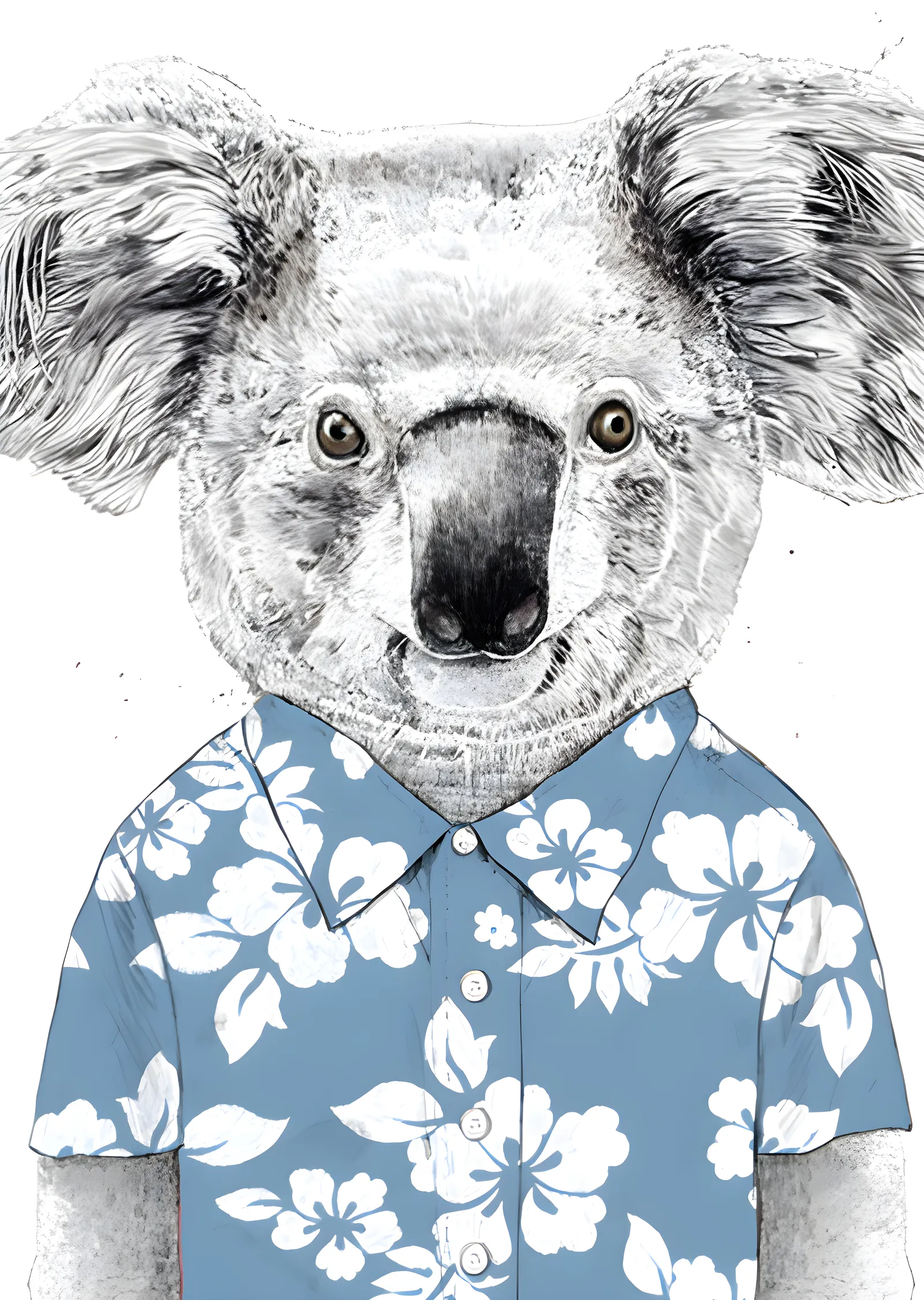 Hawaii Gömlekli Koala metal tablo