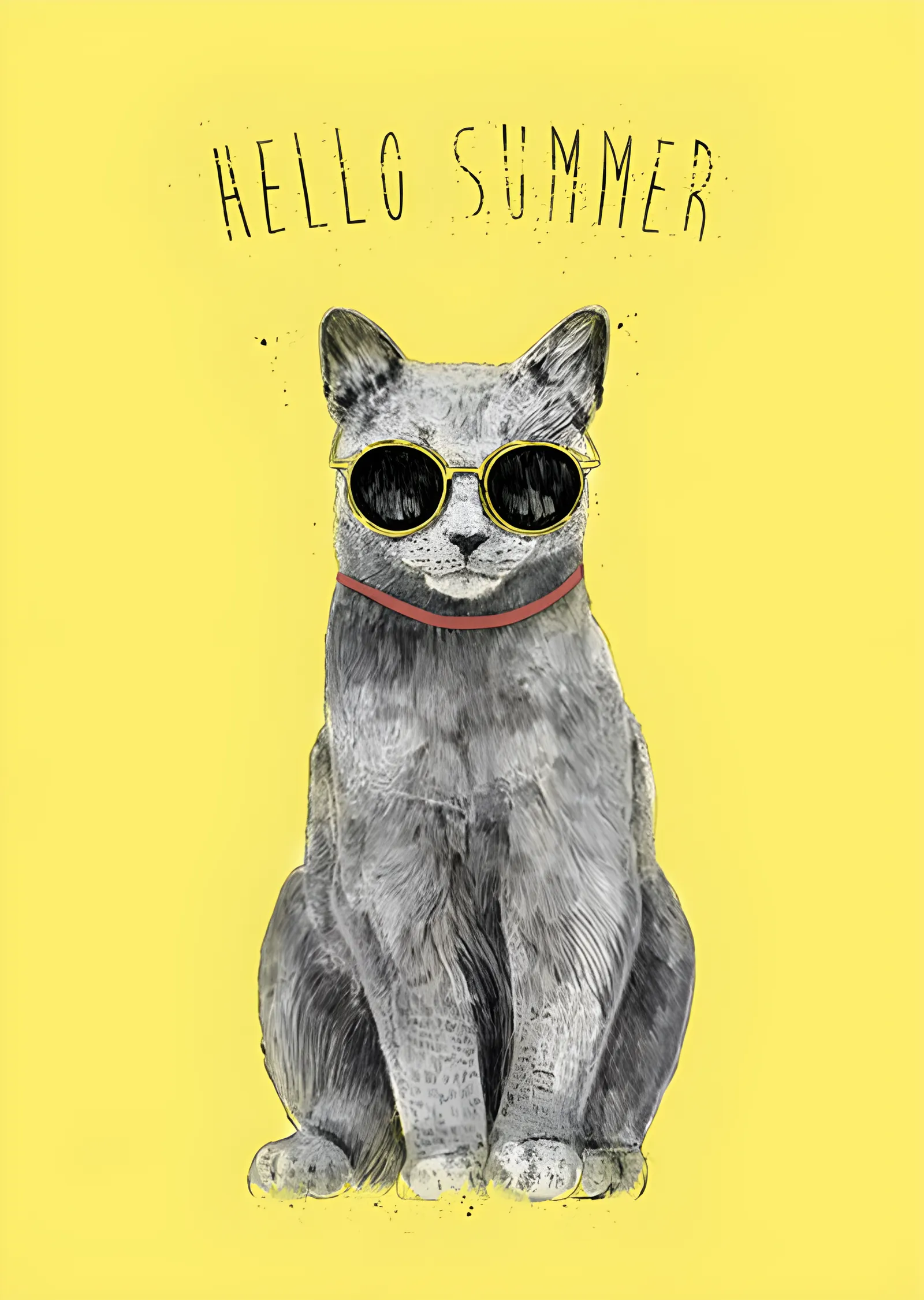 Hello Summer - Güneş Gözlüklü Gri Kedi metal tablo