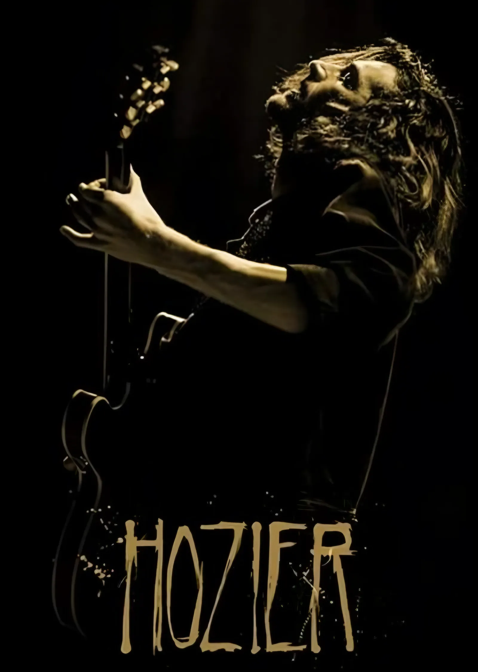 Hozier - Karanlıkta Sahne metal tablo