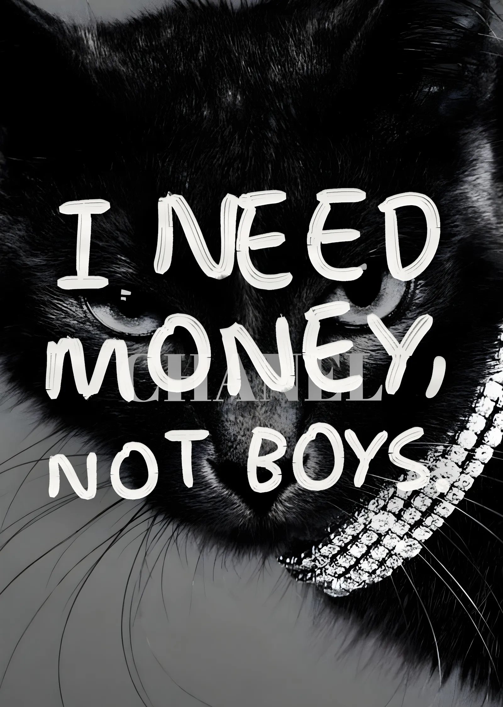 I Need Money, Not Boys metal tablo