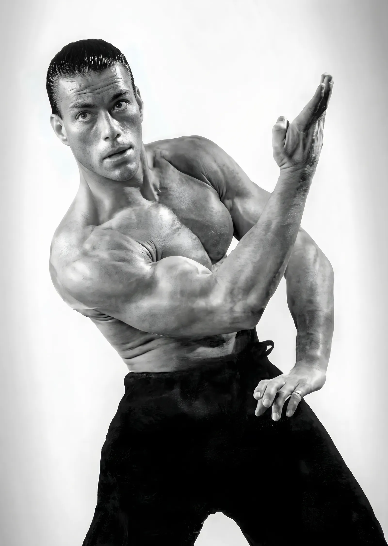 Jean-Claude Van Damme: Klasik Dövüş Pozu metal tablo