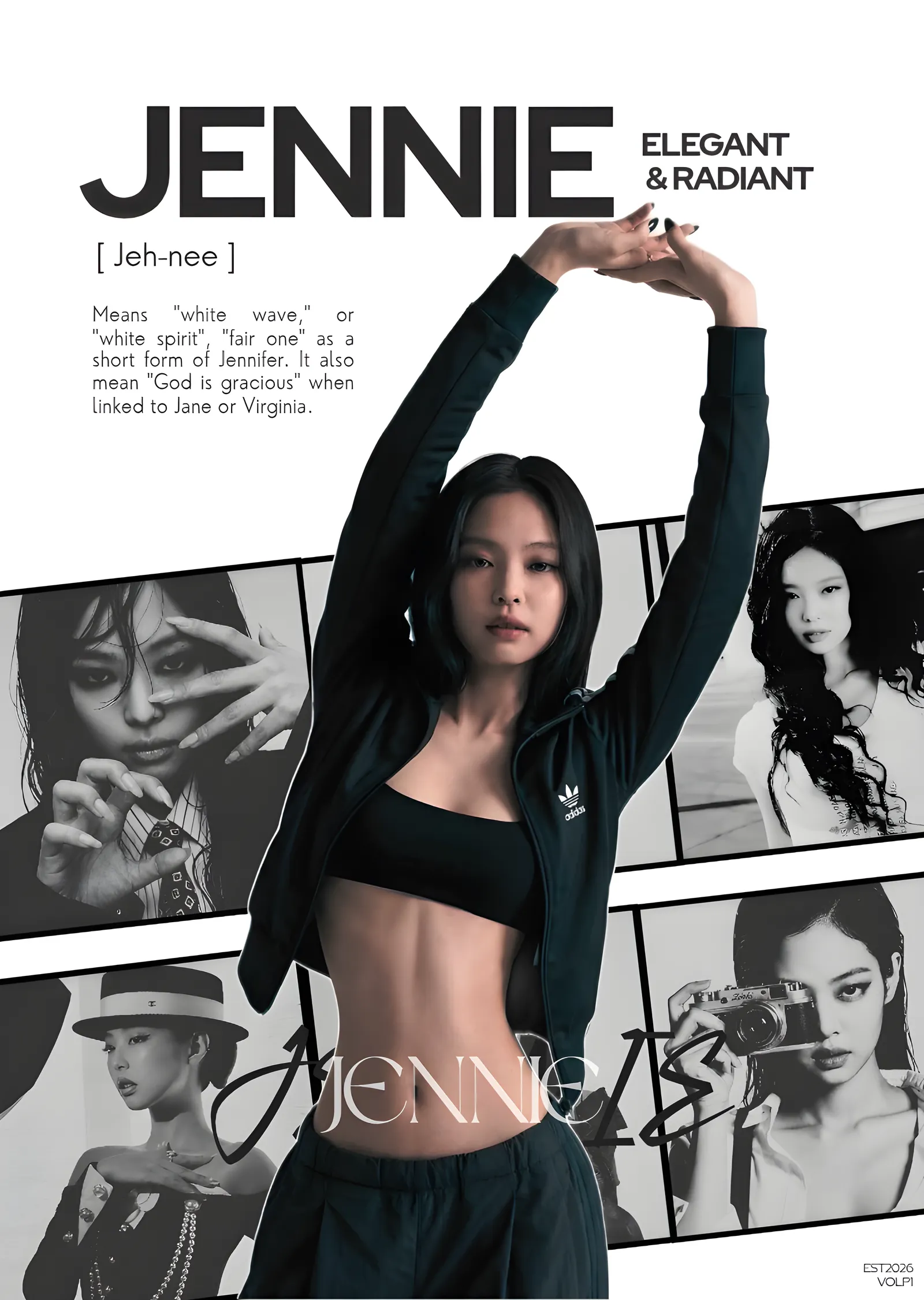 Jennie - Elegant & Radiant metal tablo