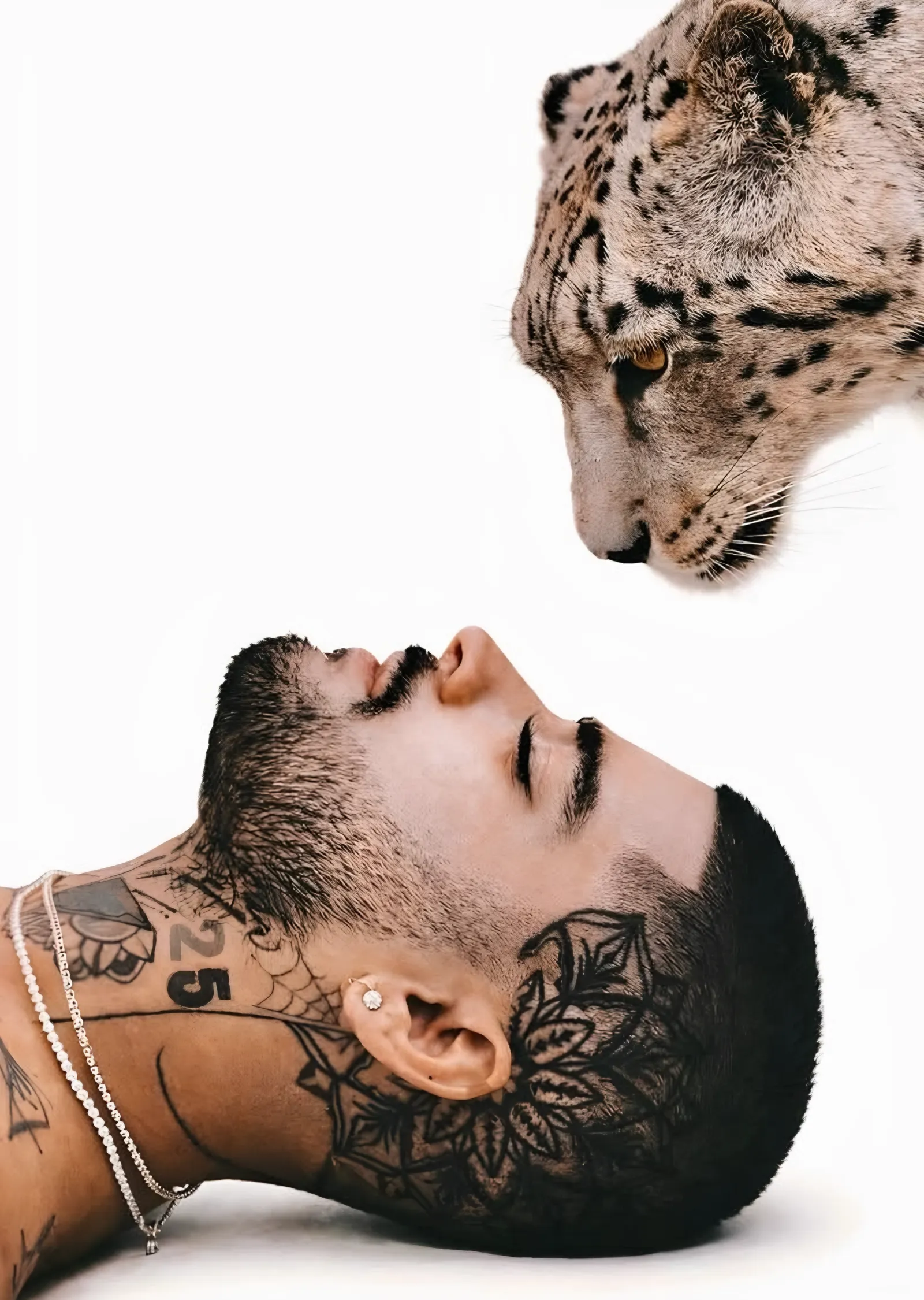 Kar Leoparı ve Dövmeli Profil metal tablo