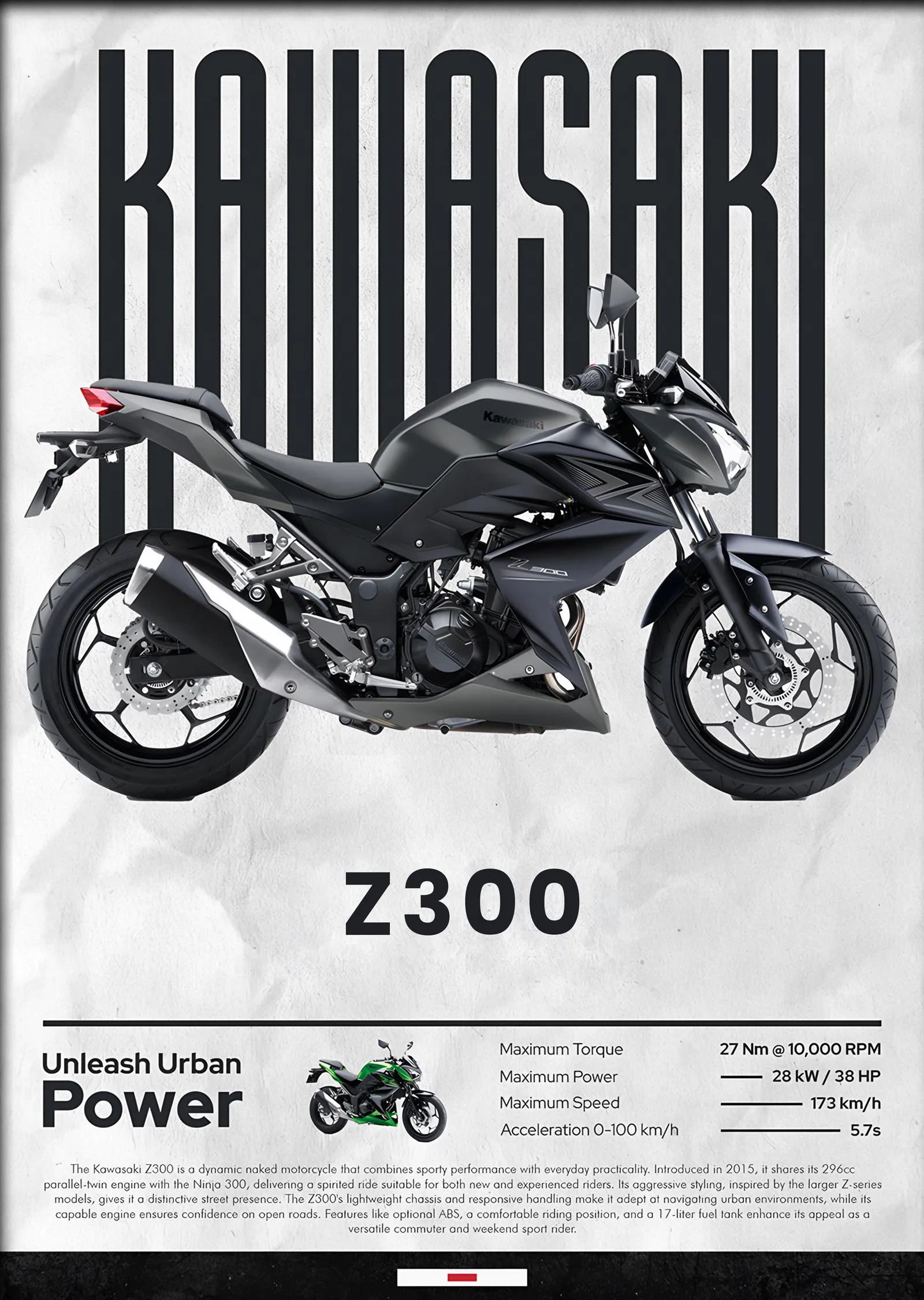 Kawasaki Z300 metal tablo
