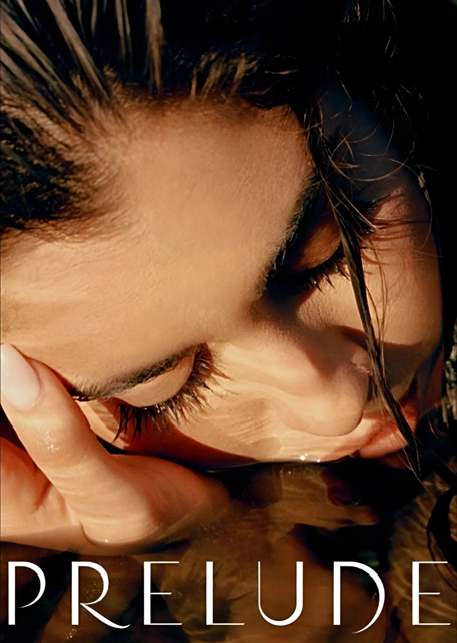 Lauren Jauregui - Prelude metal tablo