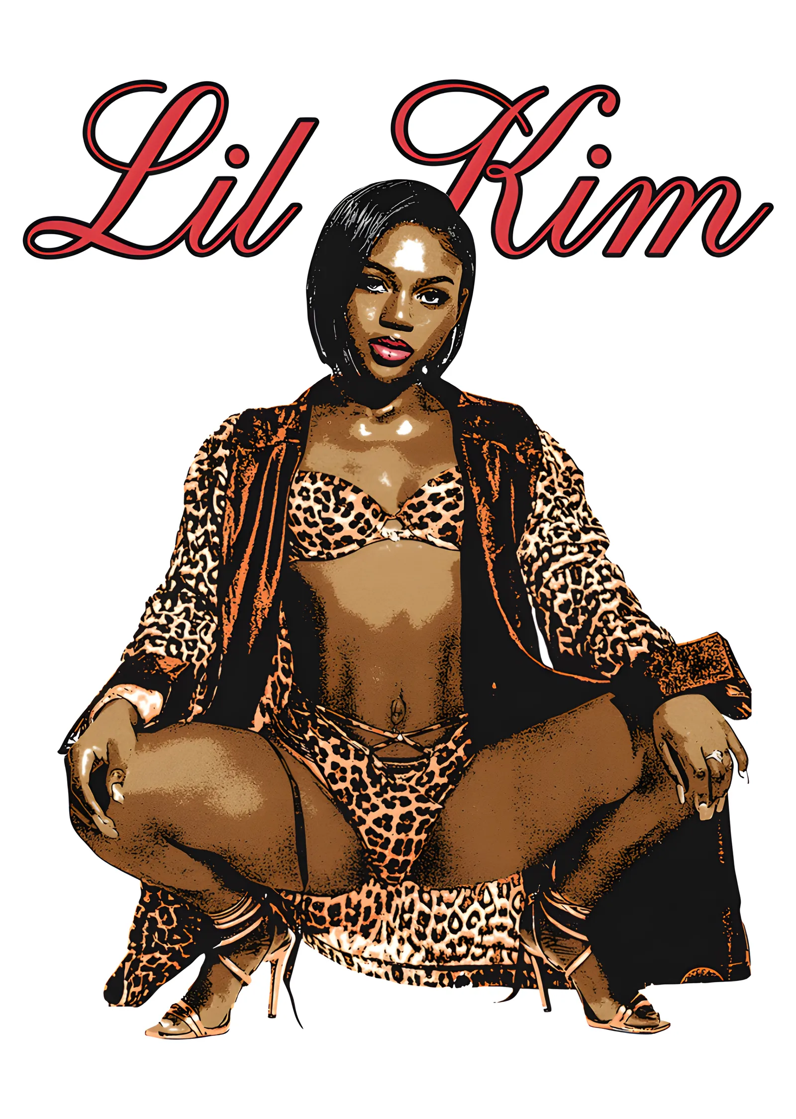 Lil' Kim - Leopar metal tablo