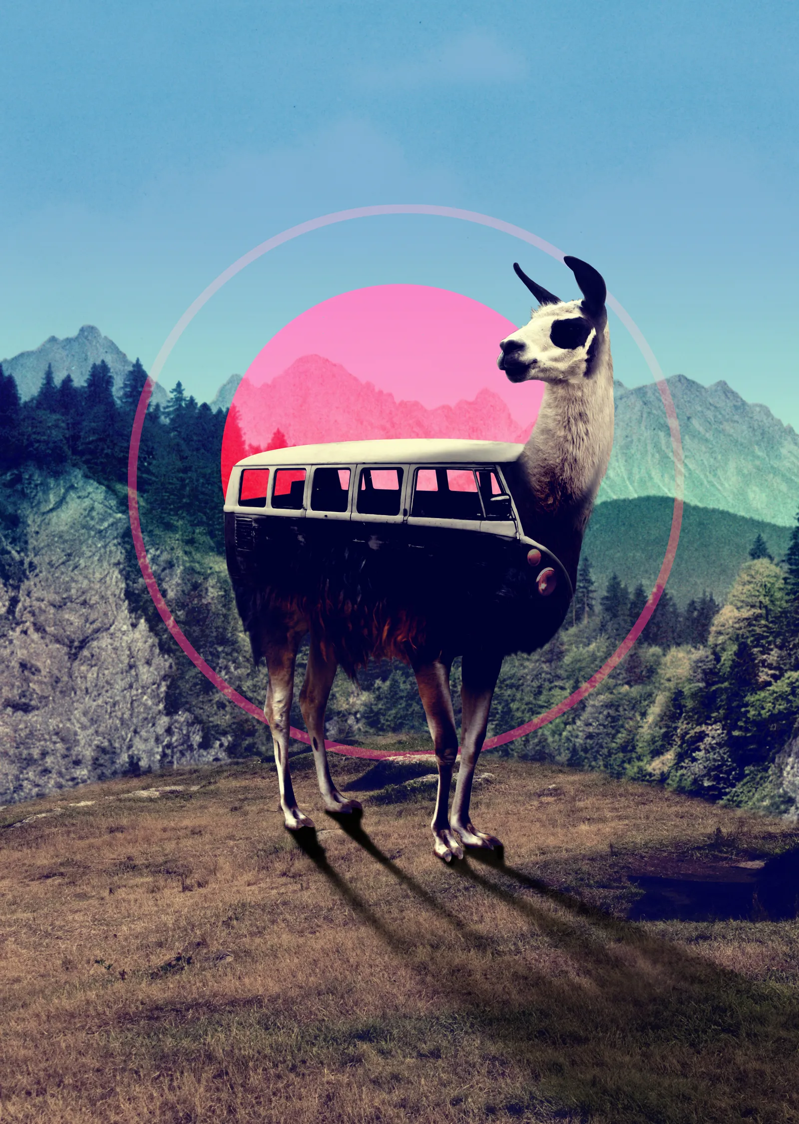 Llama metal tablo