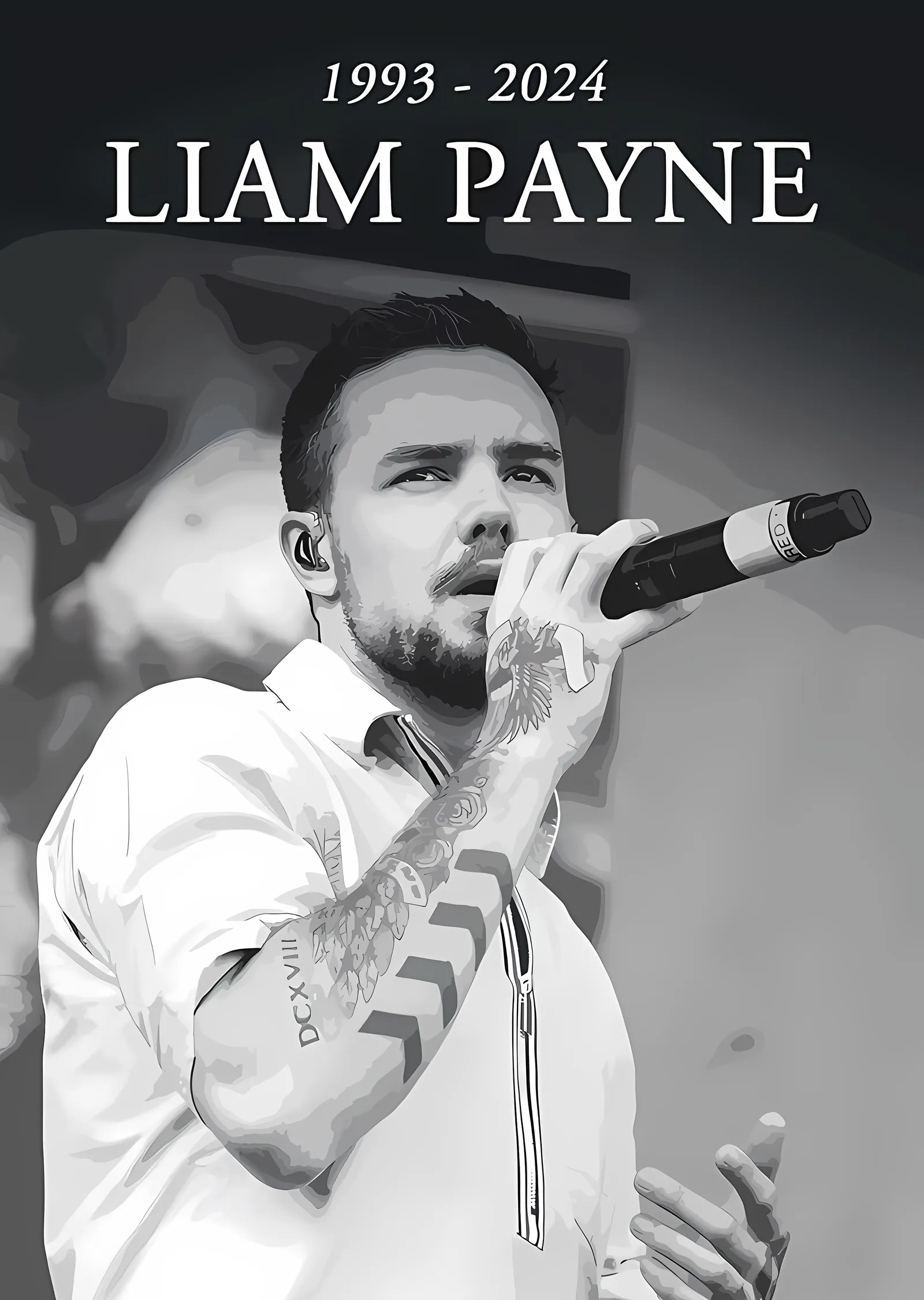 Liam Payne - Siyah Beyaz Sahne Karesi metal tablo