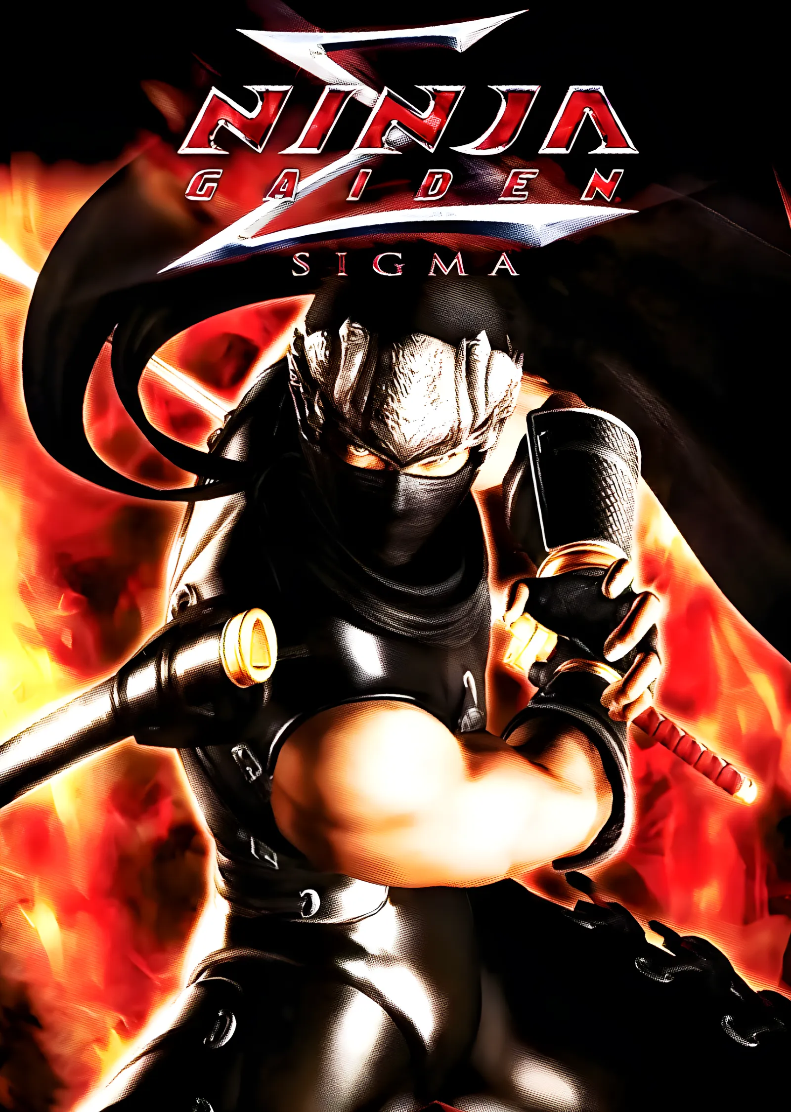 Ninja Gaiden Sigma metal tablo