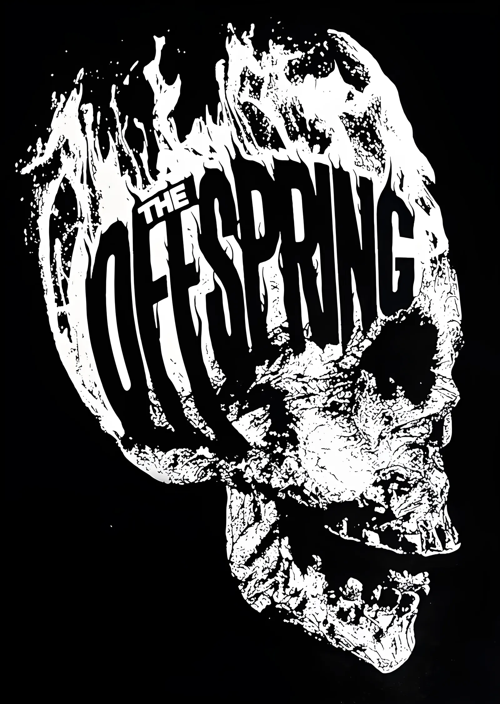 The Offspring - Beyaz Kuru Kafa metal tablo